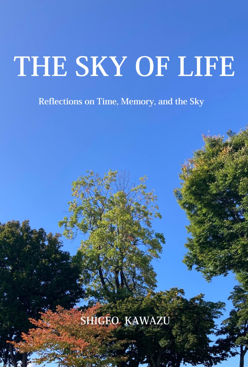 The Sky of Life: Reflections on Time, Memory, and the Sky