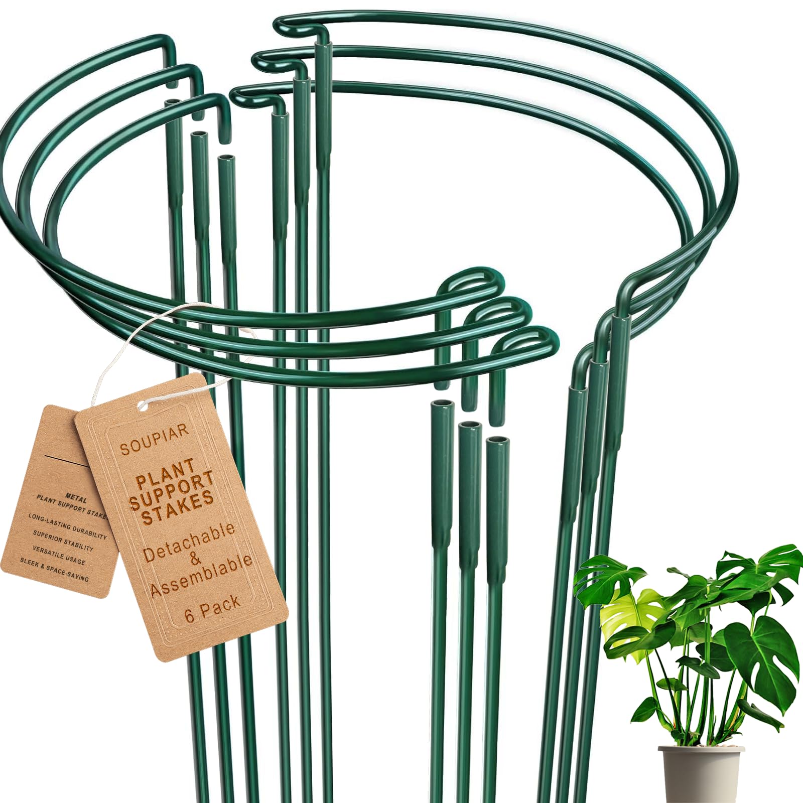 Photo 1 of 6 Pack Detachable & Assemblable Metal Plant Support Stakes - Garden Support Ring, Tomato Seedling Cage, Young Monstera/Pothos for Growing Indoor/Outdoor (10" W x 16" H)