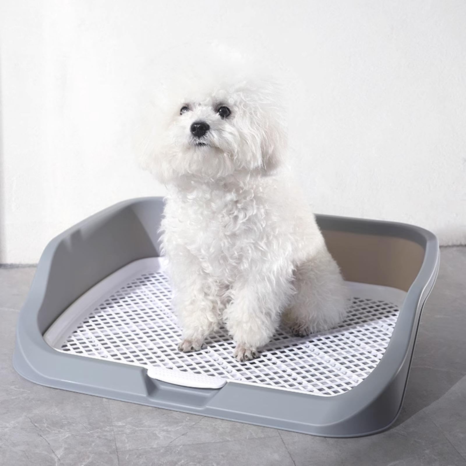 Plateau d'apprentissage de La Propreté pour Chiots, Support pour Tapis d'apprentissage avec Grille Facile à Nettoyer et Barrière de Protection, Grise