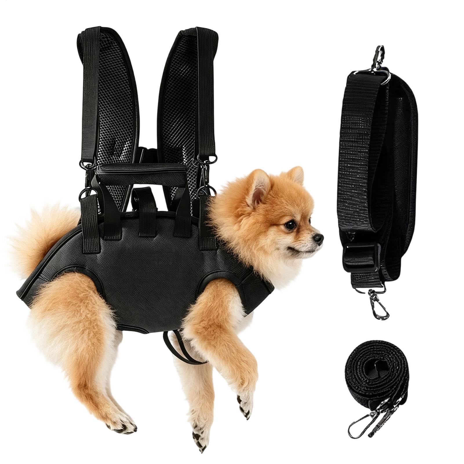 Mochila para perros pequeños y medianos: bolsa de transporte para viajes y paseos