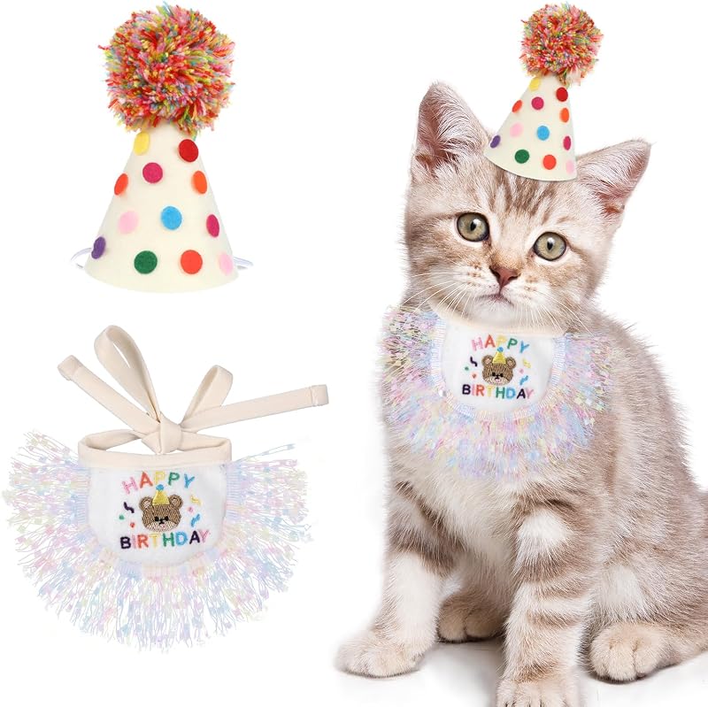 Conjunto de Aniversário para Gatos com Chapéu e Bandana de Renda Bruislard