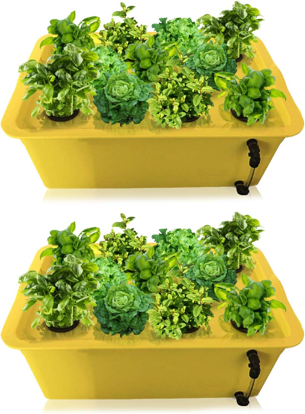DWC Hydroponics Growing System 2Pack - Medium Size Kit w/Airstone, Bucket, Air Pump, Rockwool - Best Indoor Herb Garden for Cilantro, Mint - Complete Hydroponic Setup (15% Off 2 Pack 11 Sites)