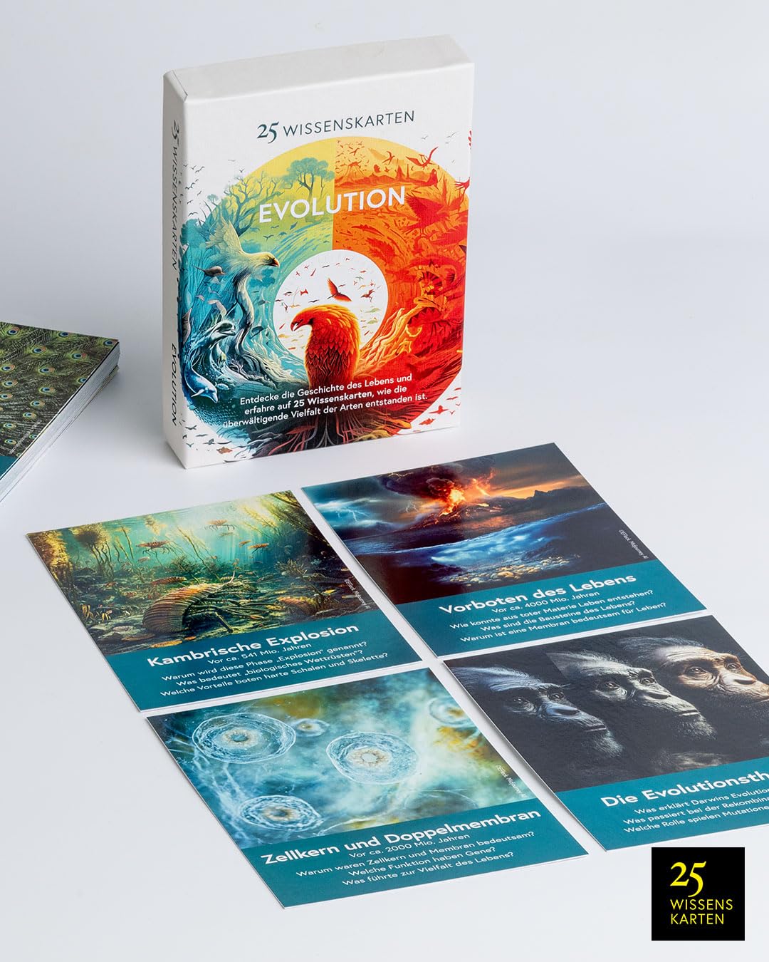 Die 25 Wissenskarten-Trilogie: Universum, Evolution, Philosophie: Der Wissens-Boost im Kartenformat (25 Wissenskarten: Die Wissens-Serie zum Sammeln)