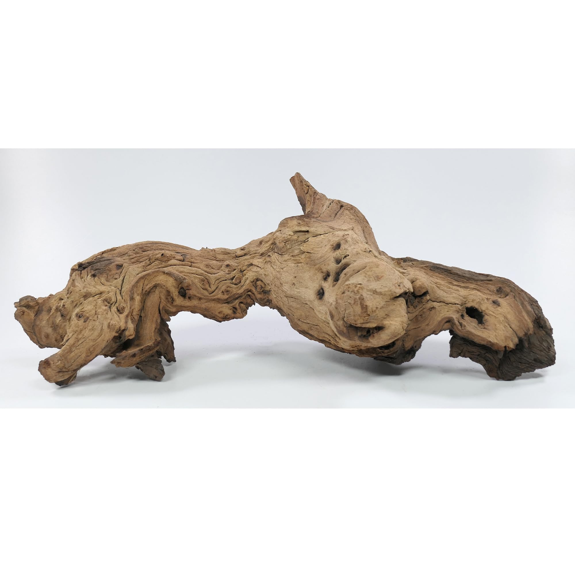 Mopani radice taglia L, decorazione per acquario, gamberetti, pesci ornamentali Hard Scape 30 cm – 40 cm (Mangrove Savanna)