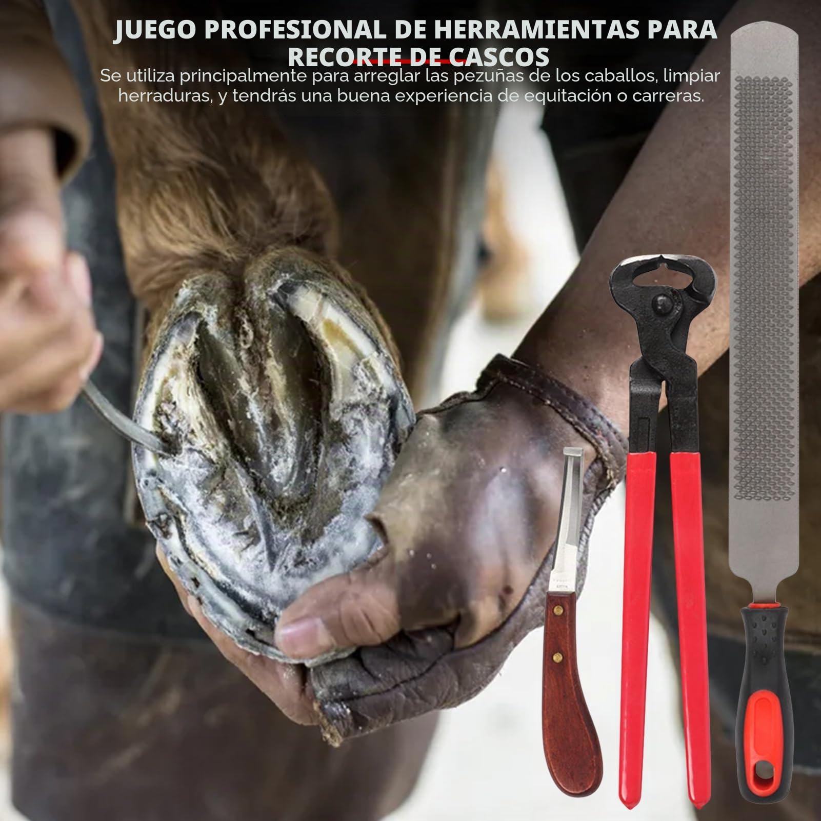 Kit de Herramientas para Cortar pezuñas de herrador de Caballos, Herramientas Profesionales para Recortar pezuñas de Caballos, Tijeras para Metal, Cortador de Pinzas para herradores