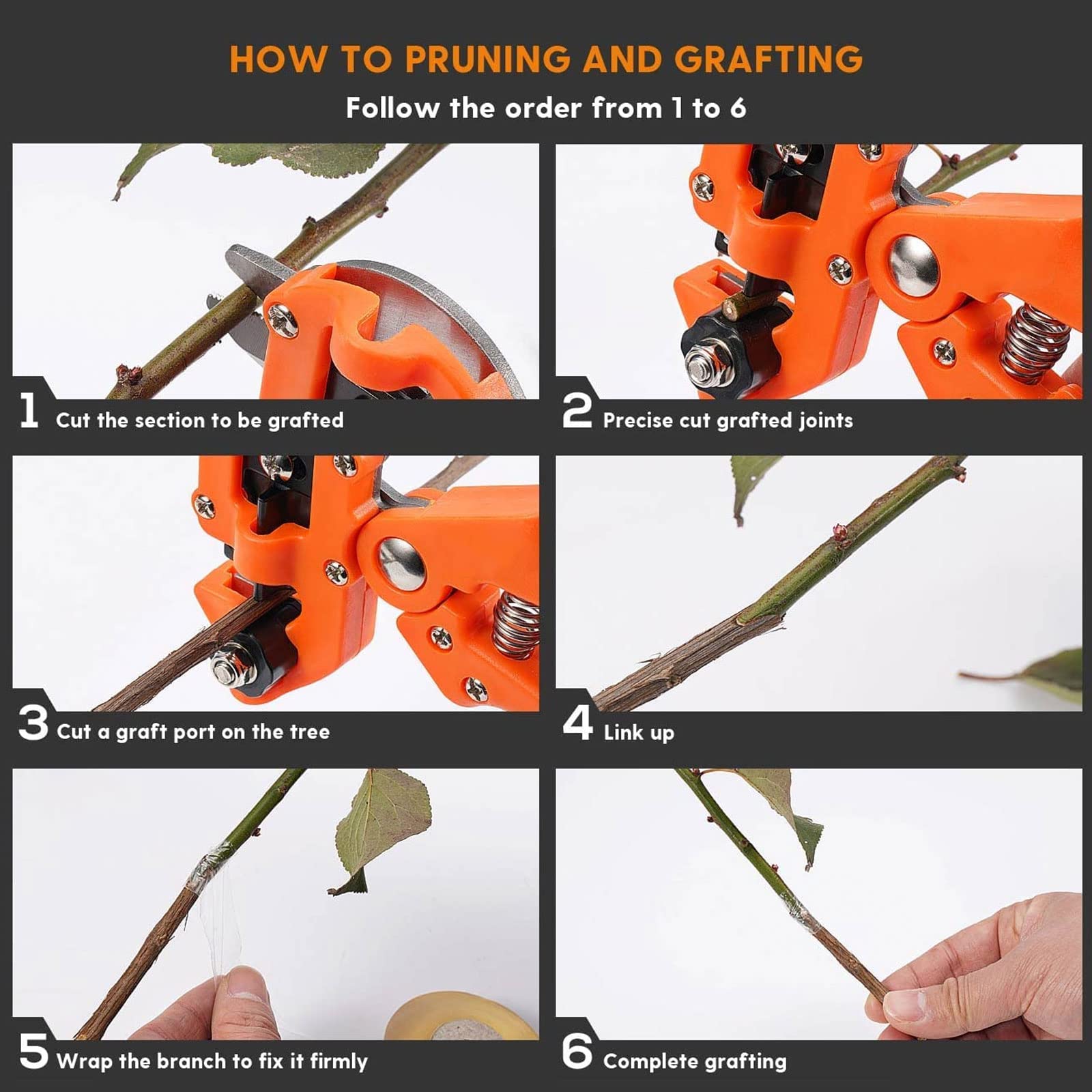 Pince à Greffer Professionnelle D'arbres Fruitiers, Parfaits pour L'élagage et Le Greffage D'arbres Fruitiers et Plantes, avec 8 Lames de Greffe Remplaçables et Rouleau de Ruban et Accessoires,Rouge