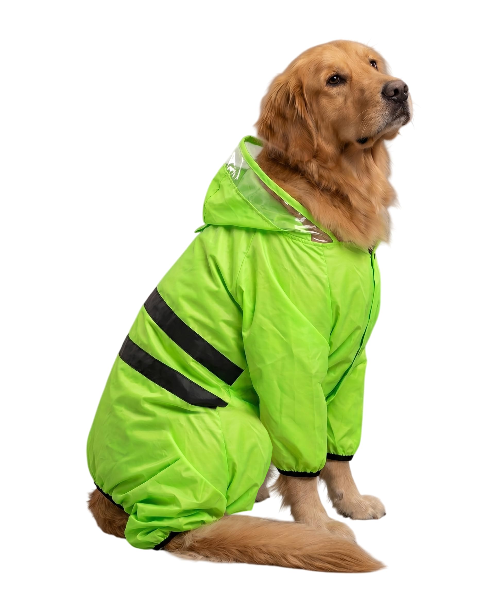 NeonShield Pro Jumpsuit Dog Raincoat for Golden Retriever | Size: Adult (2-4yrs) - 26 | Waterproof Dog Rain Wear-image-9