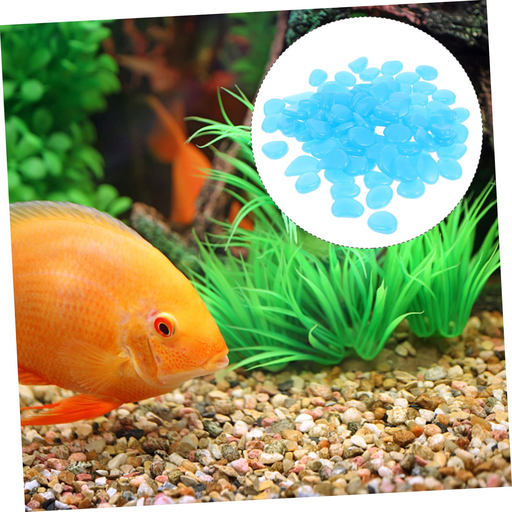 Yardwe 3 Sätze Blaue Kieselsteine Aquarien Aquarium Aquarium Sprungbrett Lichter Wohnungseinrichtung Wohnungsdeko Aquarium Leuchtkies Garten Leuchtender Stein Harz Blue 300 Stück * 3
