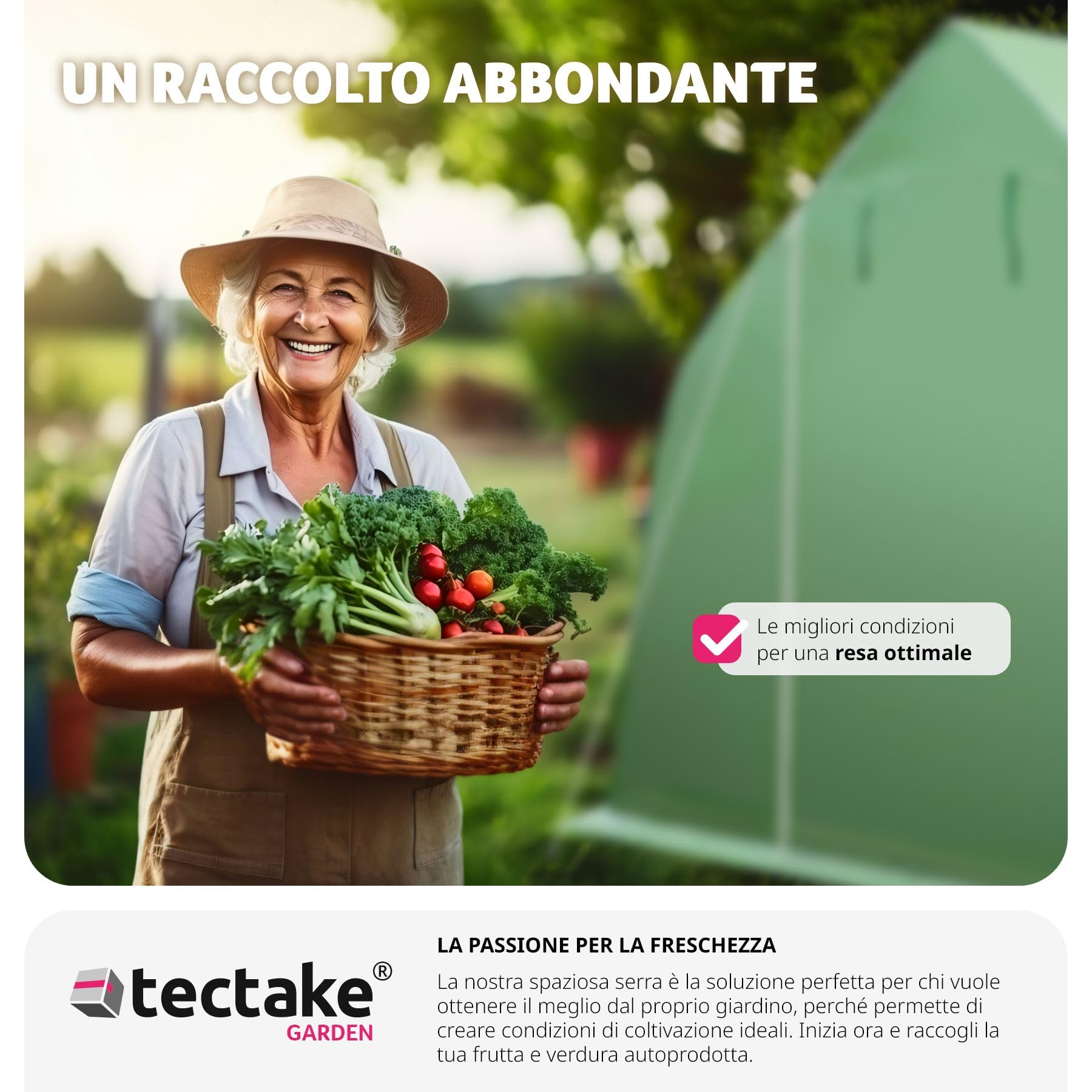 tectake® Serra da Giardino in Acciaio e PVC, 600x300x205cm, 18 m² di Superficie Utile, 8 Finestre Laterali con Zanzariera, Serra Ideale per Verdure, Erbe, Frutta, Fiori, Resistente al Freddo e al Gelo
