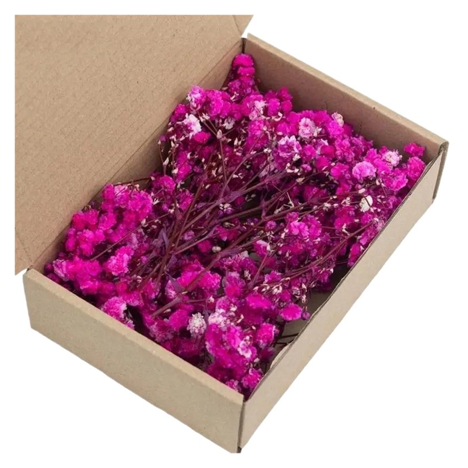 WJIAYAO dried gypsophila flowers Pack of 100 Preserved White Gypsophila Dried Flower for Home Decoration Floral Arrangements And Craft Projects(Color8)