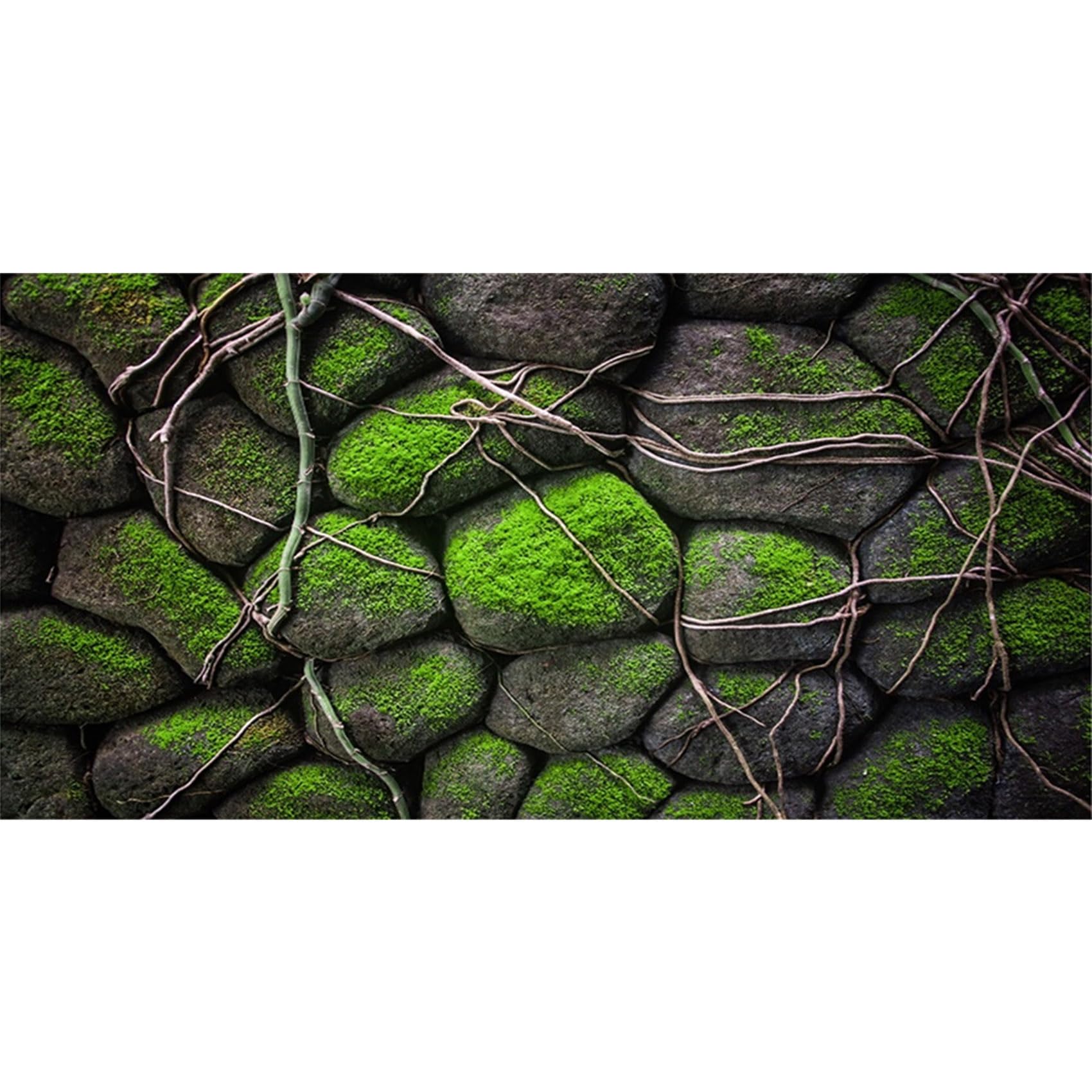 MIRRORANG 76x46cm Moss Stones Terrarium Aquarium Background Tree Root Rock Fish Tank Background Bearded Dragon Vivarium Background Vinyl