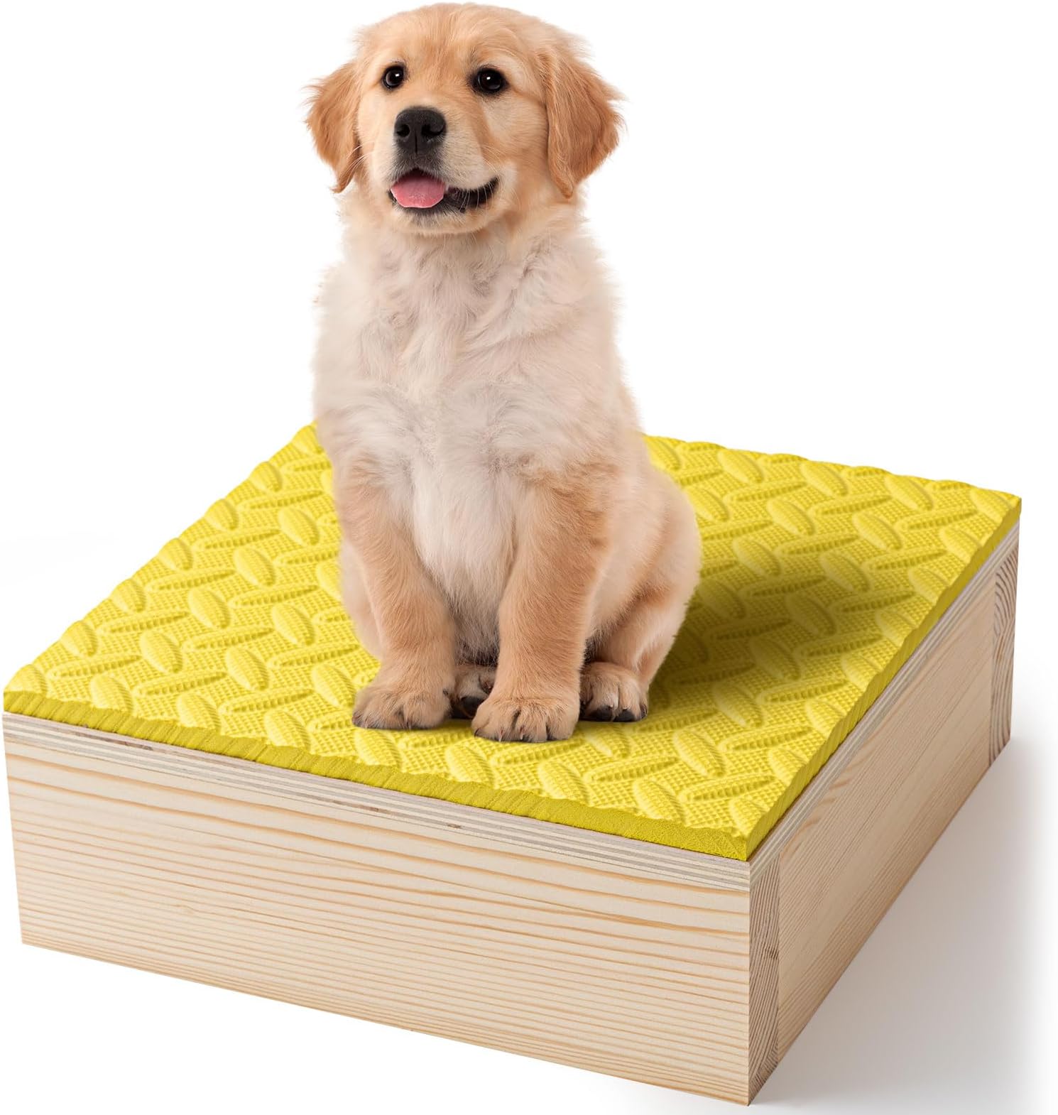 Chunful Dog Training Platform Non-Skid Surface Place Board for Dog Portable Agility Training Equipment Pivot Box for Indoor or Outdoor Use Puppy Stand Place Boards(11.81 x 11.81 x 3.94 Inch,Yellow)