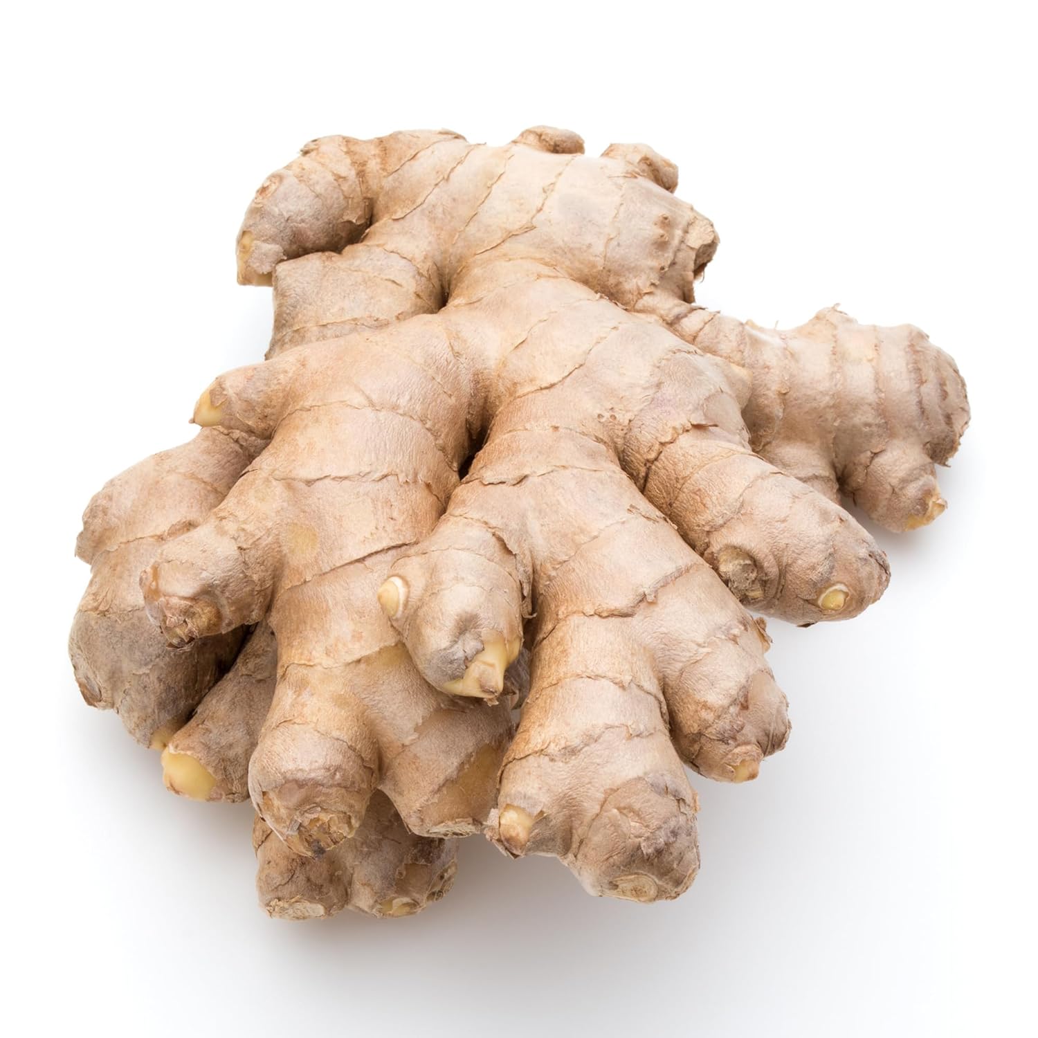 Fresh Organic Ginger Root – Premium, Natural, and Versatile with Strong, Bold Flavor for Cooking, Tea, and More (5 Lb)