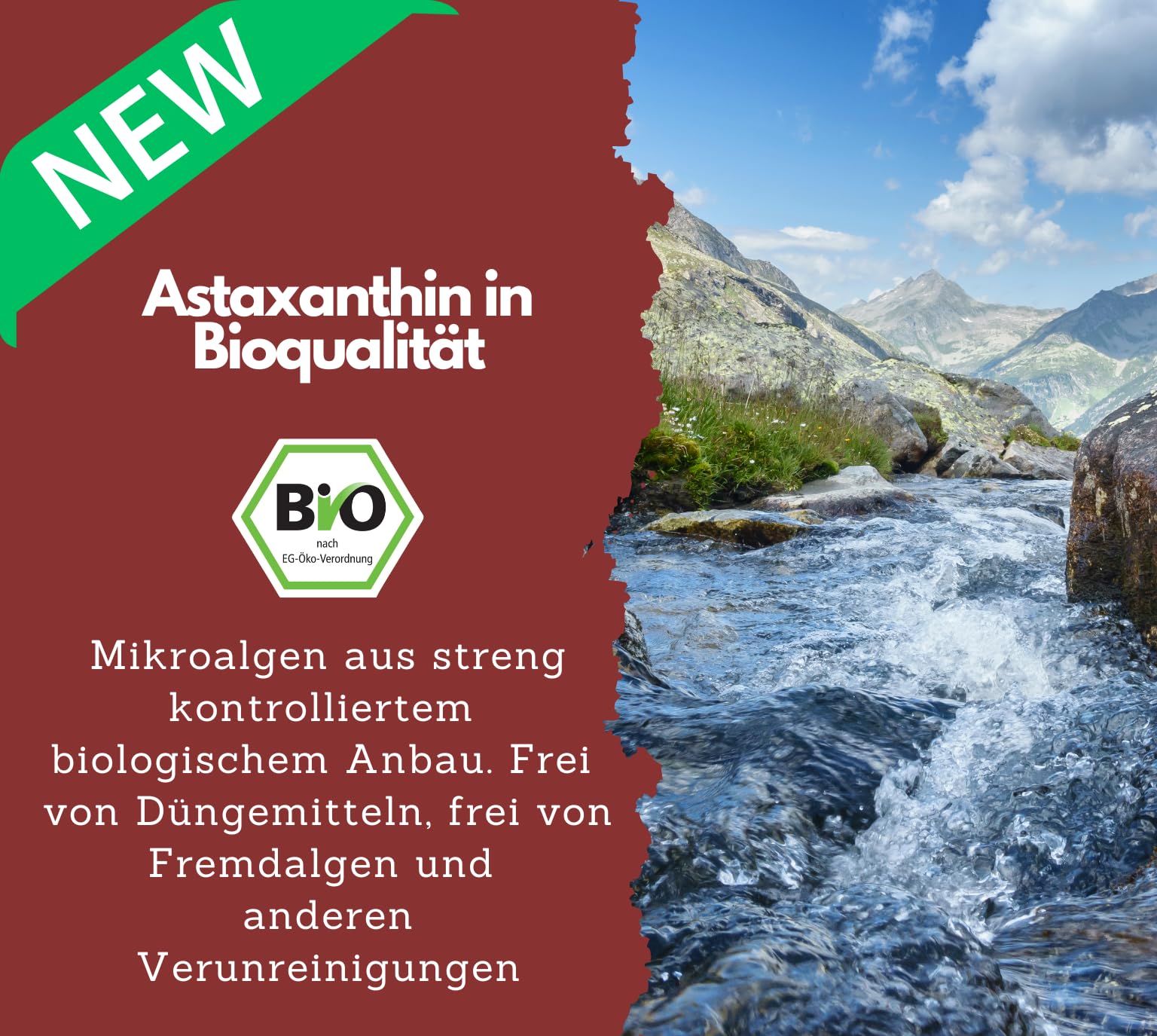 Bio Astaxanthin Tropfen, 8mg Astaxanthin pro Tagesdosis, Hochdosiert & Vegan - 100% natürliches Astaxanthin - Hohe Bioverfügbarkeit - Laborgeprüft, 30 ml