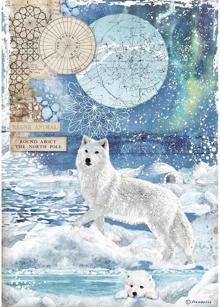 STAMPERIA INTL Stamperia-Rice Paper, Wolf, Arctic Antarctic, A4