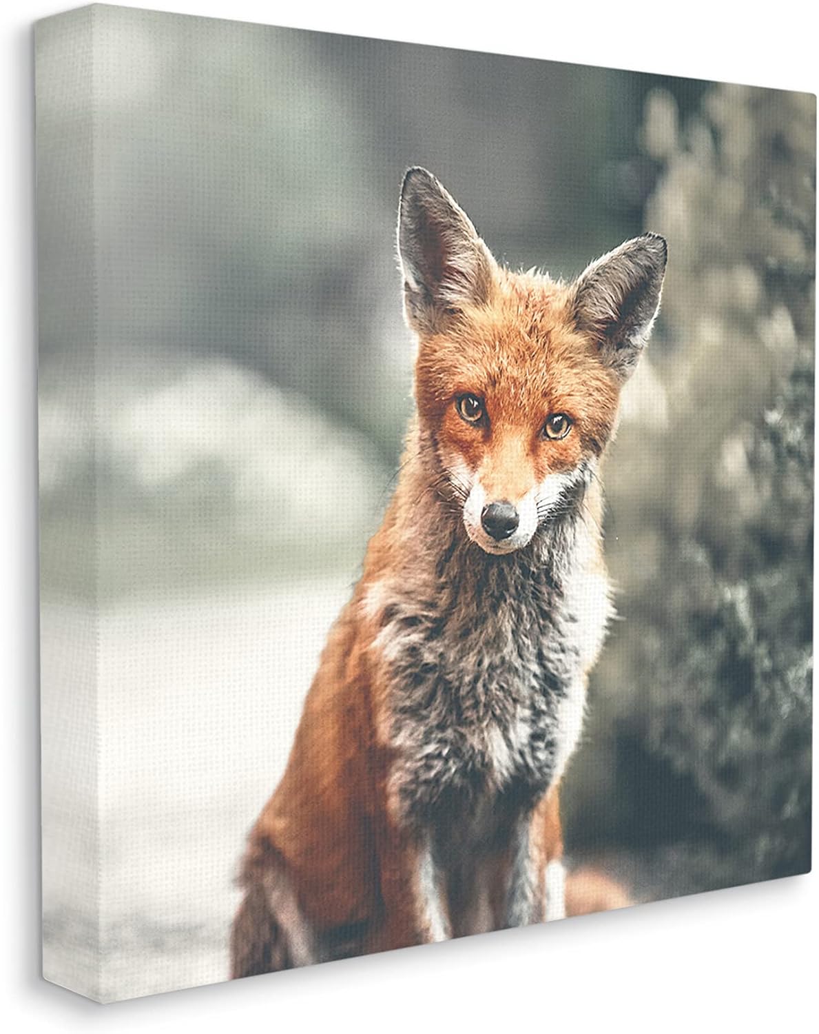 Stupell Industries Adorable Woodland Fox Orange Fur Soft Tone Forest, Design by Leah Straatsma Canvas Wall Art, 17 x 17, Green