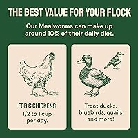 Vista 9 de 5 libras de gusanos secos para aves, pollo, pescado