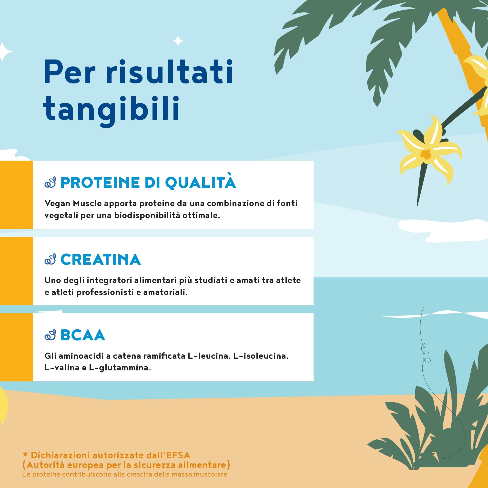Proteine in Polvere | Vegan Protein Arricchite con BCAA e creatina monoidrata | Vaniglia | 600g | Aminoacidi Essenziali Pre workout, Mass Gainer | Vegan Muscle Protein | Alpha Foods