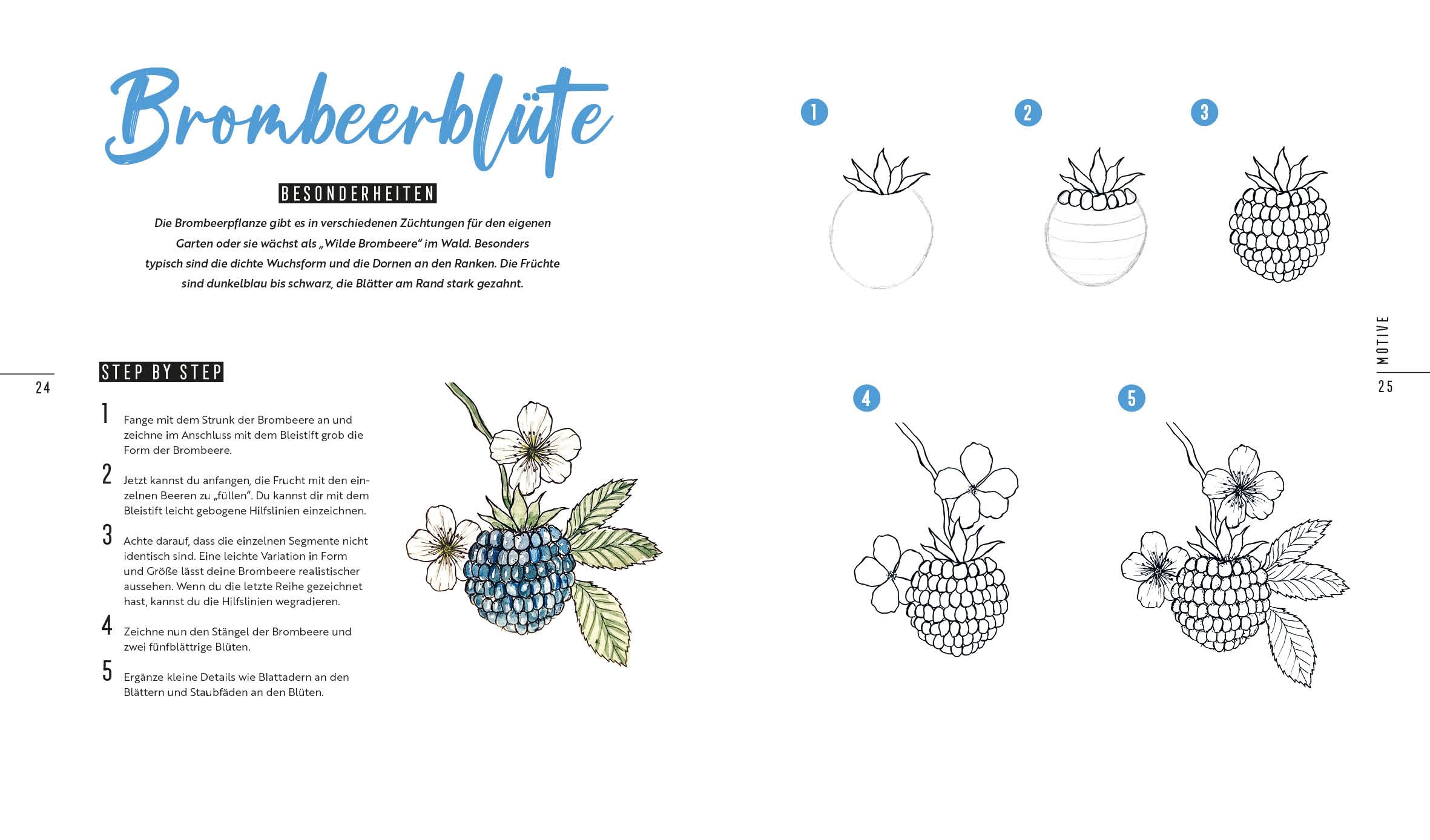 How to Draw Flowers: 50 Blumen und Blüten in nur 5 Schritten zeichnen