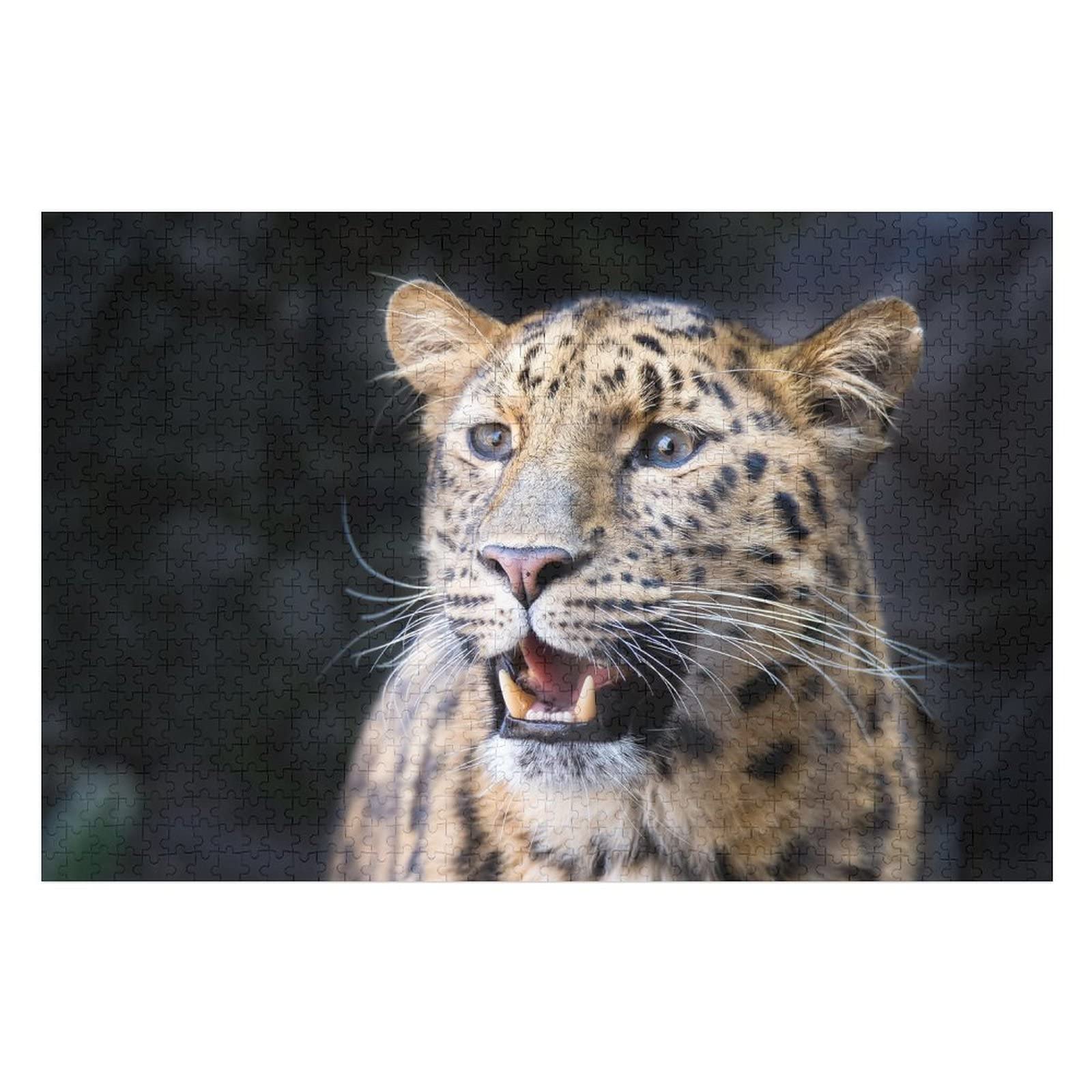 Tierpuzzle für Erwachsene, 2000 Teile, Leopardenmuster-Puzzles, für Erwachsene, Teenager, Kinder, Puzzle-Geschenke, lustige Puzzles, 70 x 100 cm