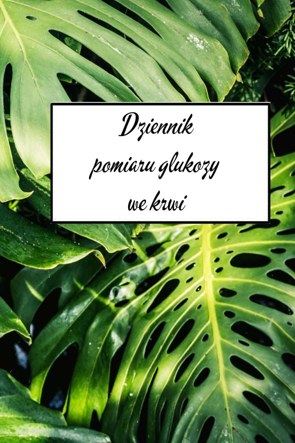 Dziennik pomiaru glukozy we krwi