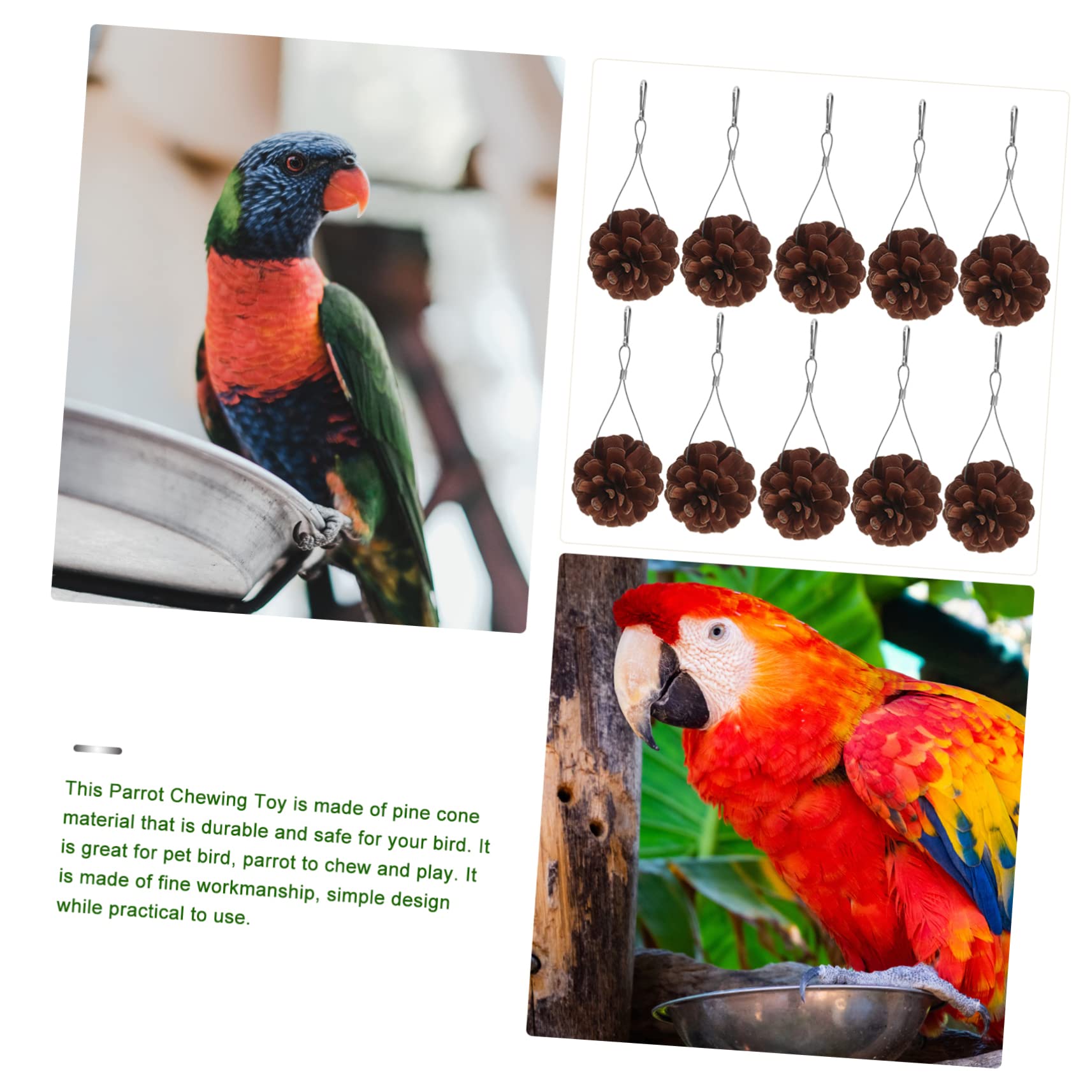 BESPORTBLE 20pièces Jouets à Mordre pour Oiseaux Pigne Naturel Accessoires De Jeu Suspendus pour Perruches Et Perroquets pour Forage Divertissement