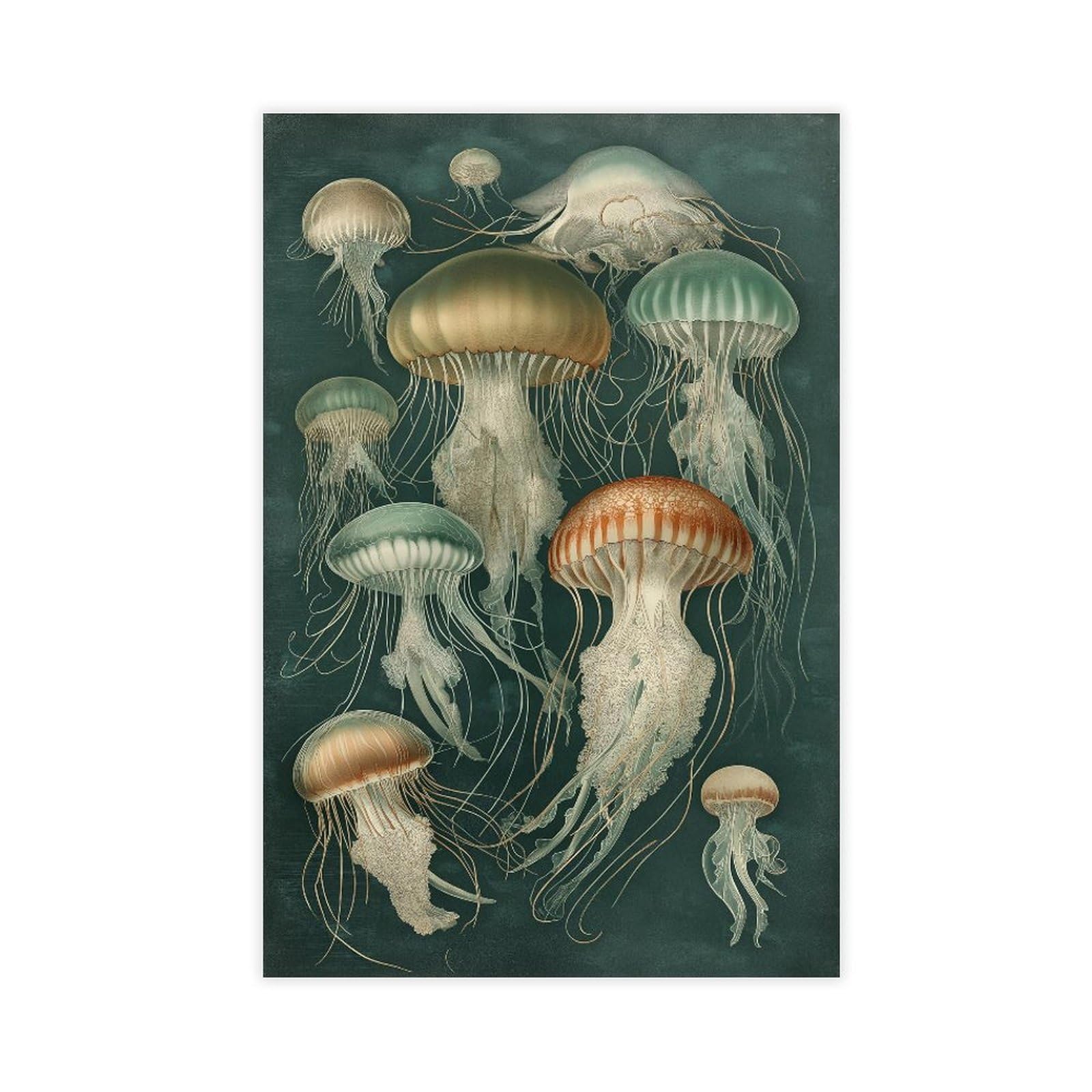 YWTJAX Vintage Jellyfish Poster Canvas Poster for Living Room Decor Gift