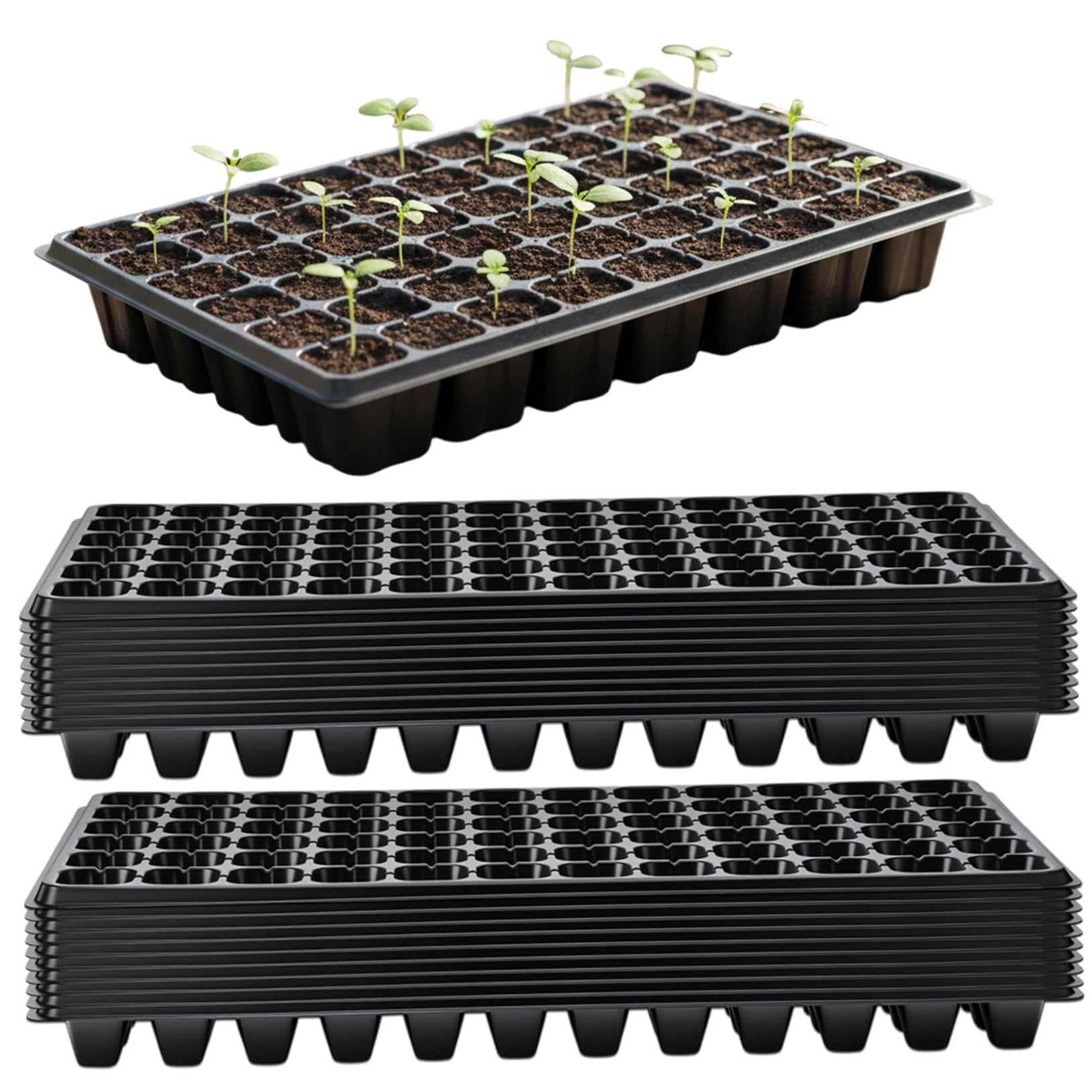 Plateau de démarrage de graines pour réussir votre potager en serre et jardin urbain