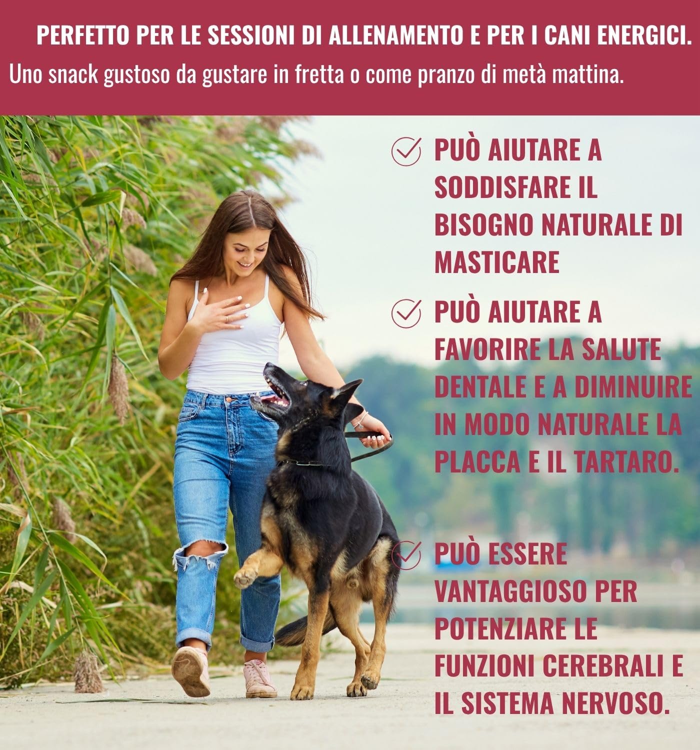 RiNa Trecce di salmone Snack di pesce per cani, snack da masticare con