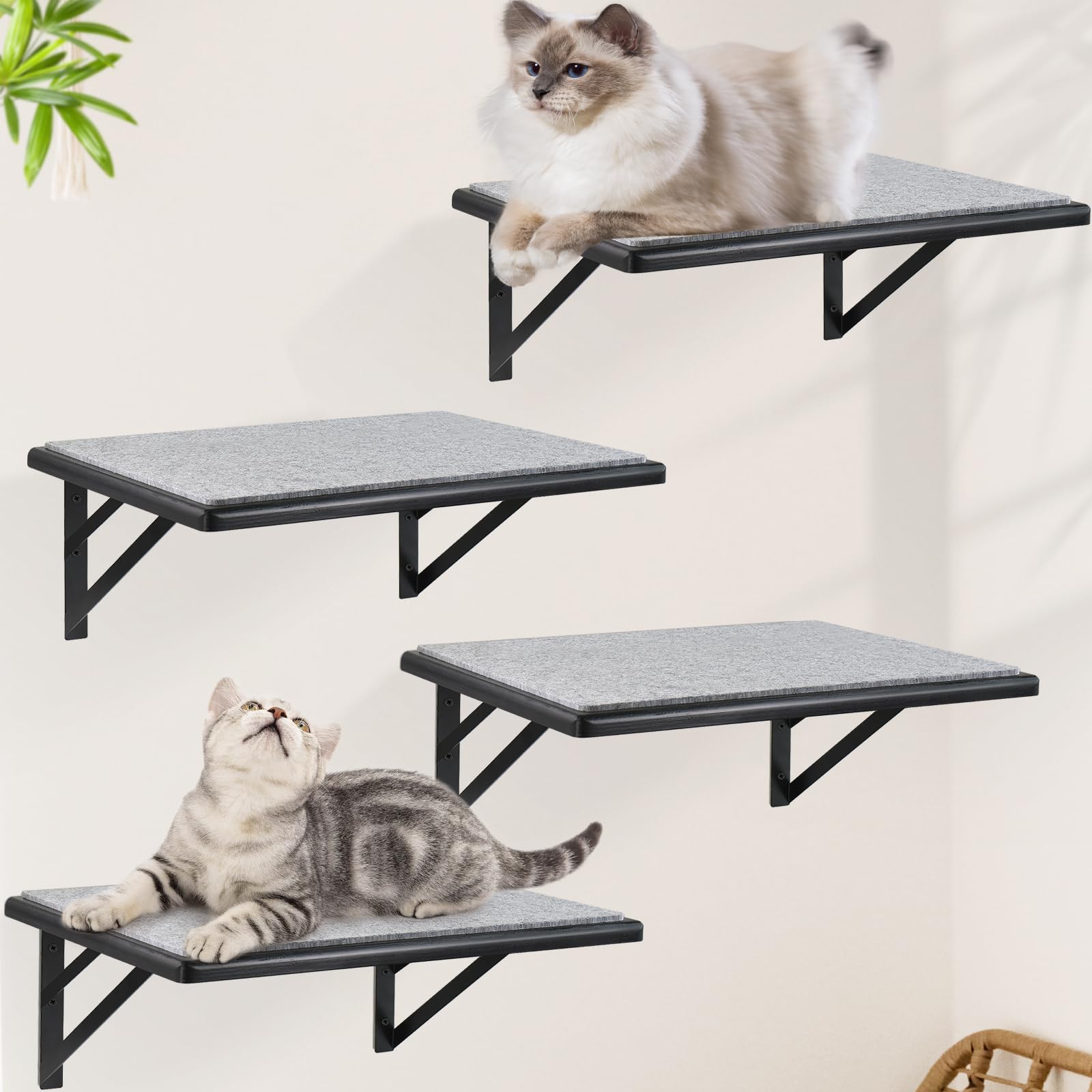 GADKE Cat Wall Shelves Set of 4