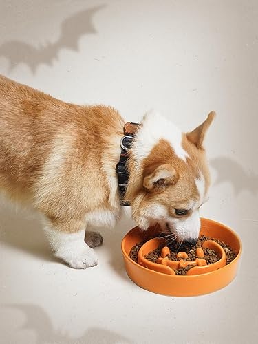 Vista 52 de LE TAUCI Cuencos de cerámica para perros de alimentación lenta, 3 tazas de alimentación lenta, tazón para perros de raza mediana y grande, cuenco