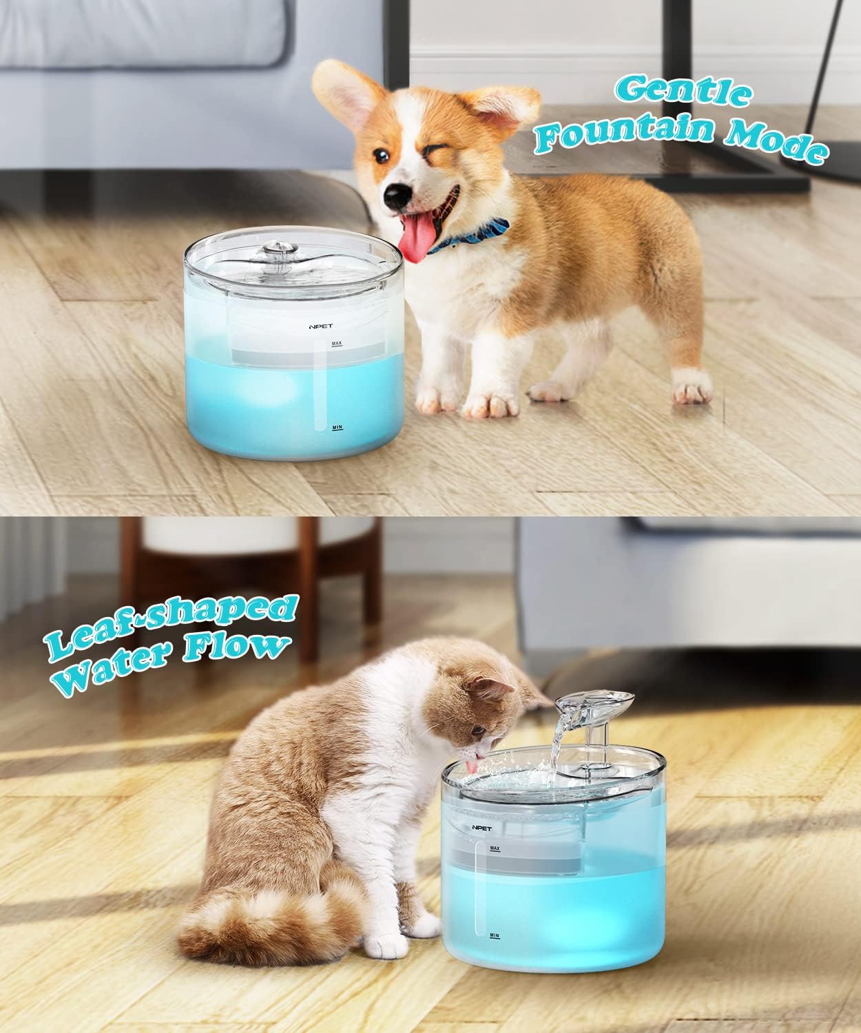 NPET Cat Water Fountain with LED Light, 1.6L Pet Automatic Drinking