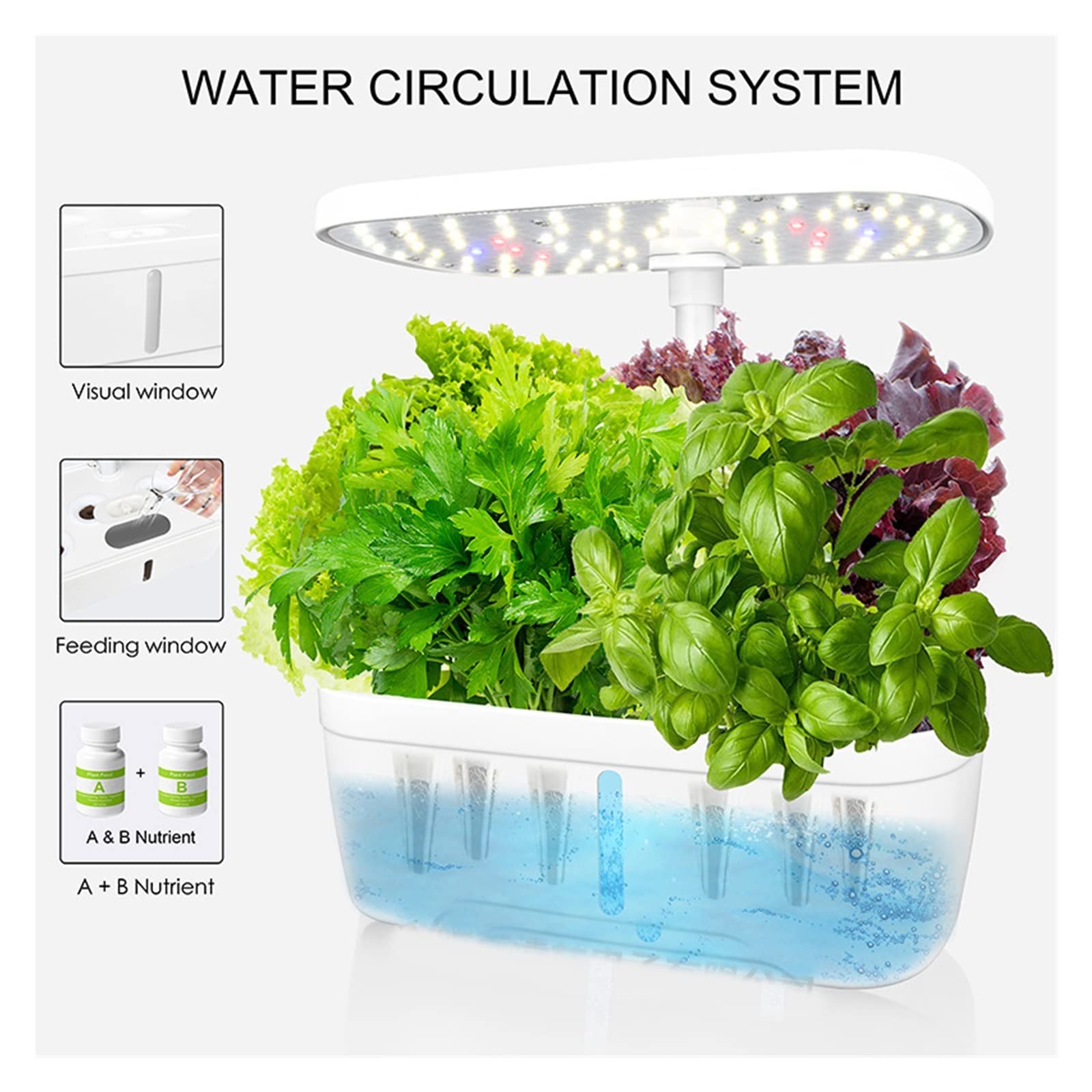 Hydrocultuur Kweeksysteem - LED en Automatische Bewatering Hydrocultuur Kweeksysteem - LED en Automatische Bewatering