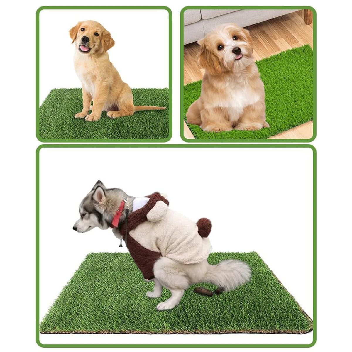Lettiera per Cani 45 x 60 cm, Riutilizzabile e Lavabile, per Piccola Taglia, Casa, Balcone e Prato