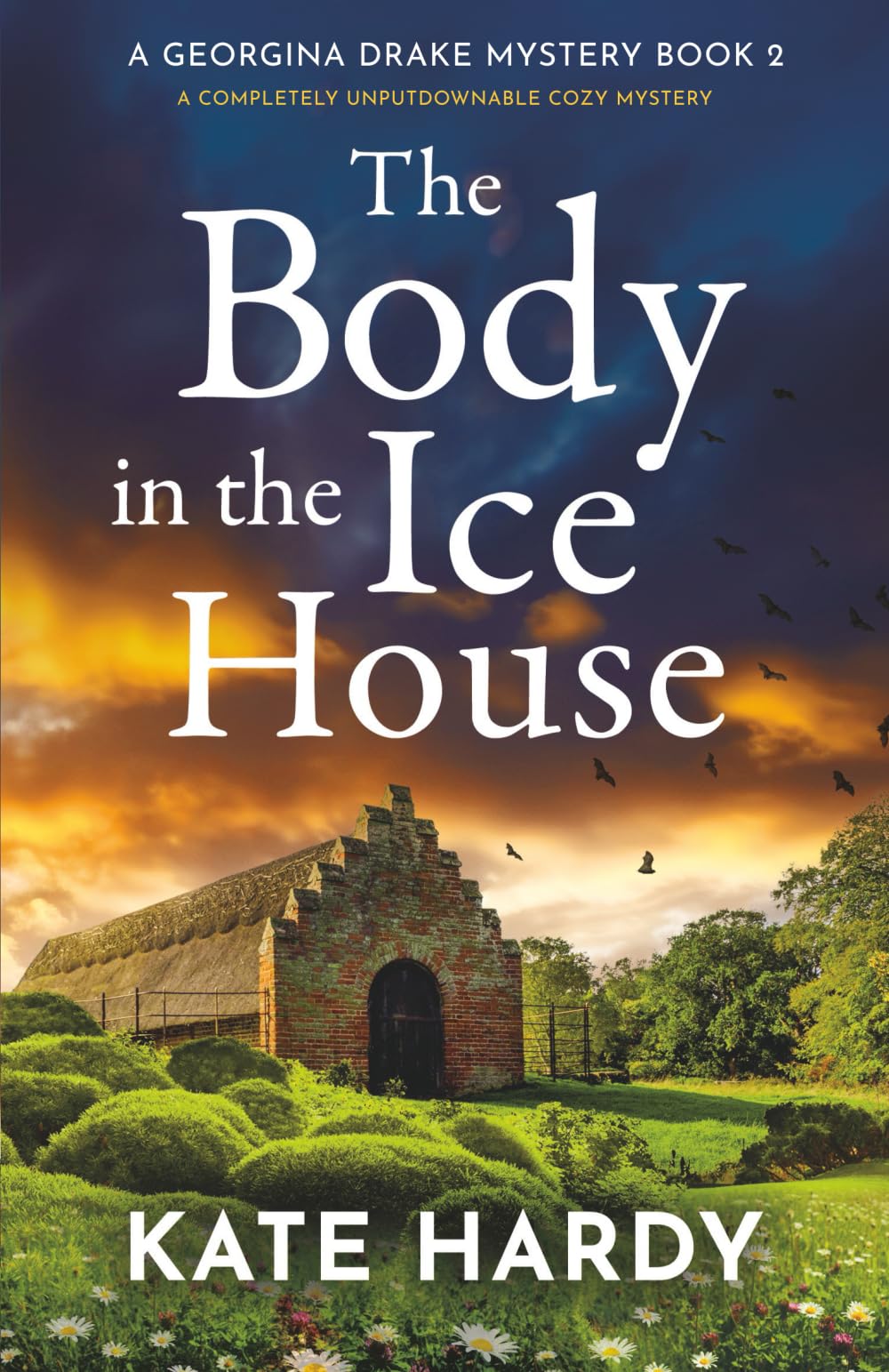The Body in the Ice House: A completely unputdownable cozy mystery: 2 (A Georgina Drake Mystery)