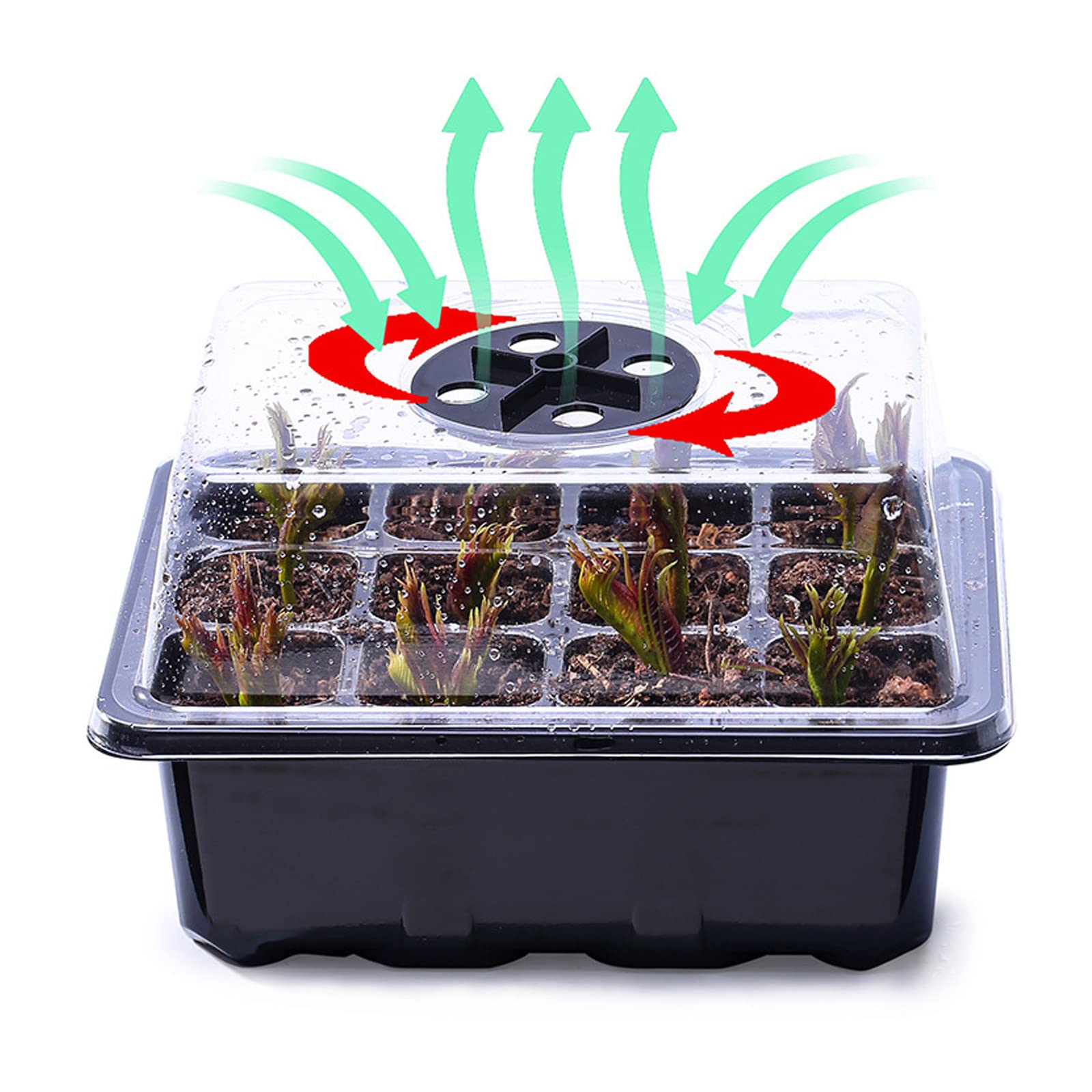 10 Pièces Mini Serre pour Plantes,Interieur Serre de Jardin pour Semis avec Évents, Bac à Semis Plateaux à graines 12 Trous pour la Germination des graines et la pépinière