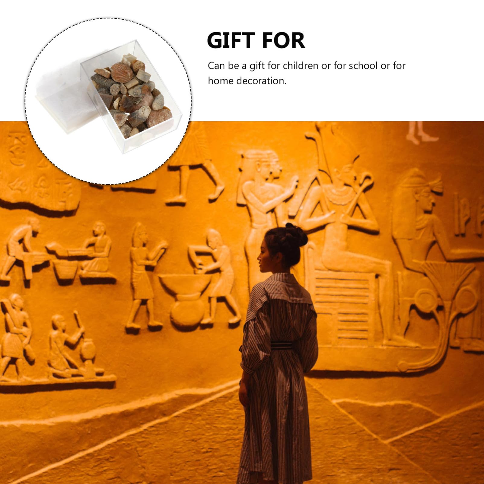 Yardenfun 1 Box Ore Specimen Natural Mineral Natural Stone Collection Natural Ore Natural Stones Ore Stones Minerals Specimens Gemstones and Crystals Tostones Hybrid