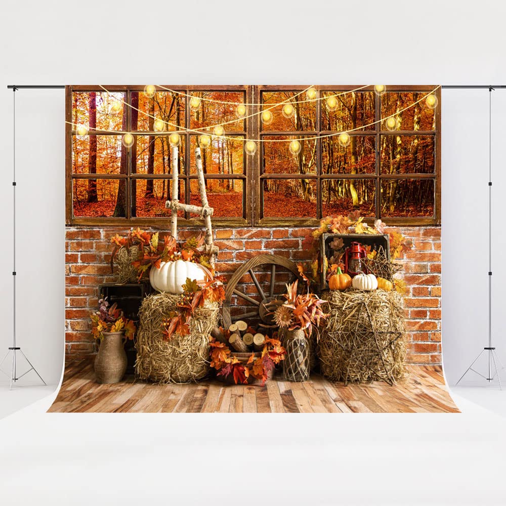Amazon | Kate 3x3m 秋 背景布 窓辺 レンガの壁 森 紅葉 カボチャ 室内