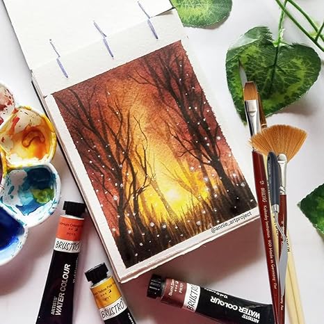 BRUSTRO Artist's Watercolour Paint | Set of 12 Colours X 12ML Tubes | Ideal for Landscape, Portrait, Paper, Painting, Artist, Professional watercolor, Transparent Colors, Painting Dry & Wet, Fine Art - Image 7