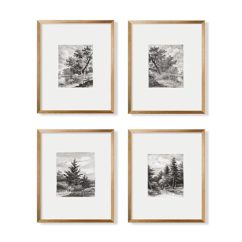 Miniatura 6 de Tree Sketch Neutral Wall Art Picture Poster Print  Vintage Farmhouse Wall Art Decor  Boho French Country Kitchen Bathroom Bedroom  Woodland