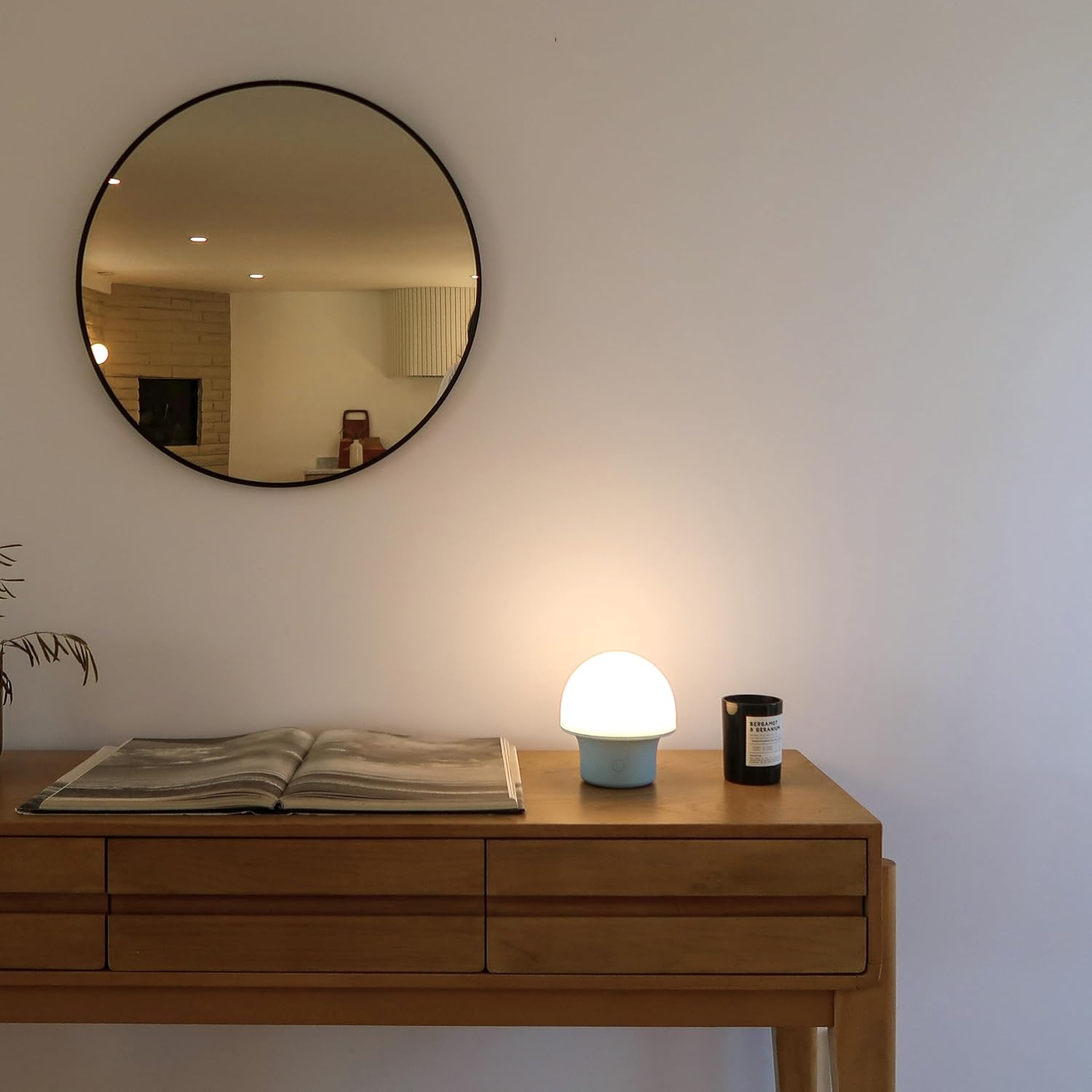 Brightech Bundle Ambience Pro Solar Powered Outdoor String Lights, 48 ft + Portobello Cordless LED Touch Table Lamp