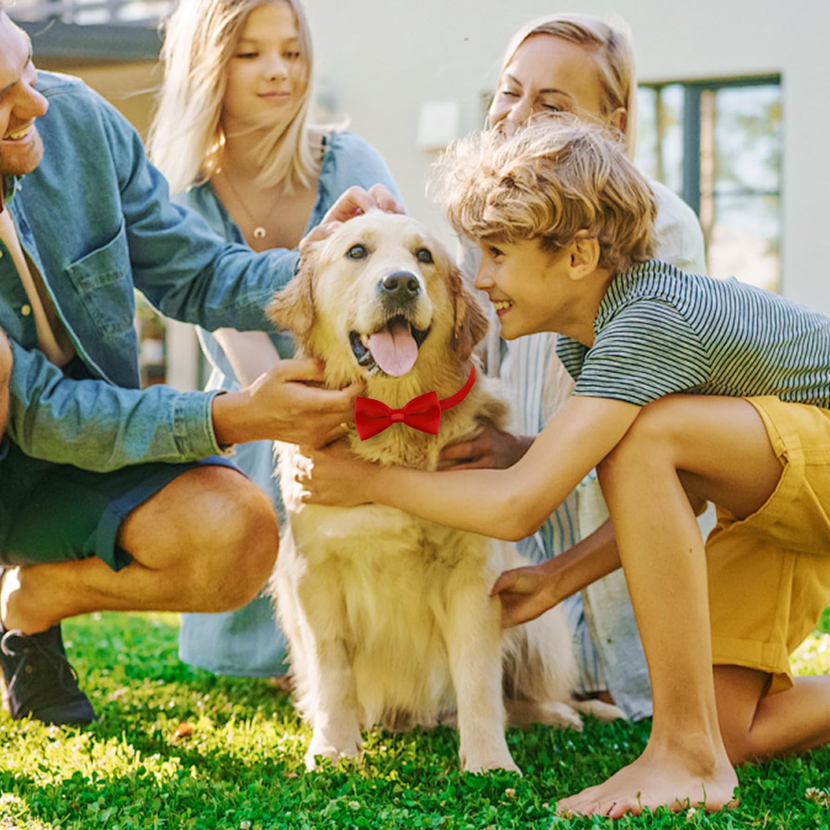Collare per cani con papillon in velluto, per matrimoni, compleanni, feste (rosso)