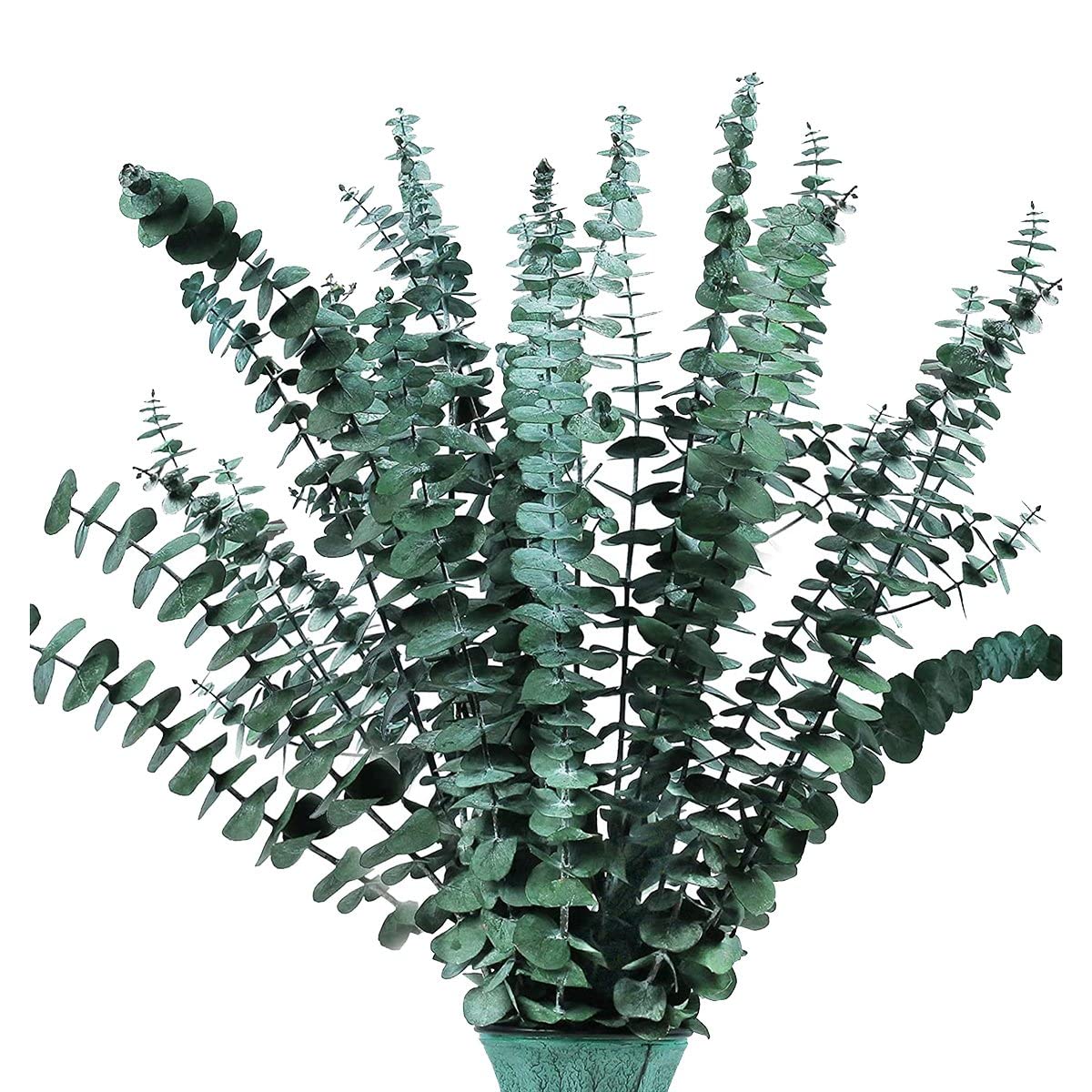 CTRLZS 16Pcs 17In Preserved-Dried-Eucalyptus-Branches Shower, Eucalyptus Bunch Vase Filler
