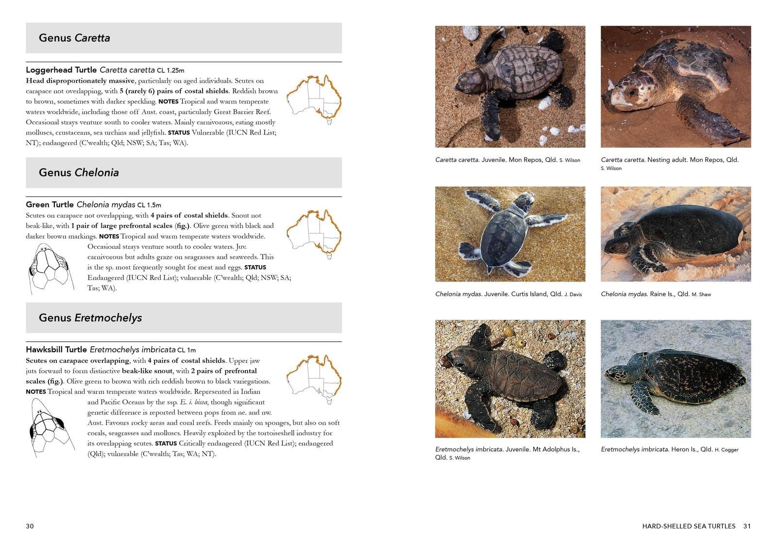 A Complete Guide to Reptiles of Australia: Volume 7