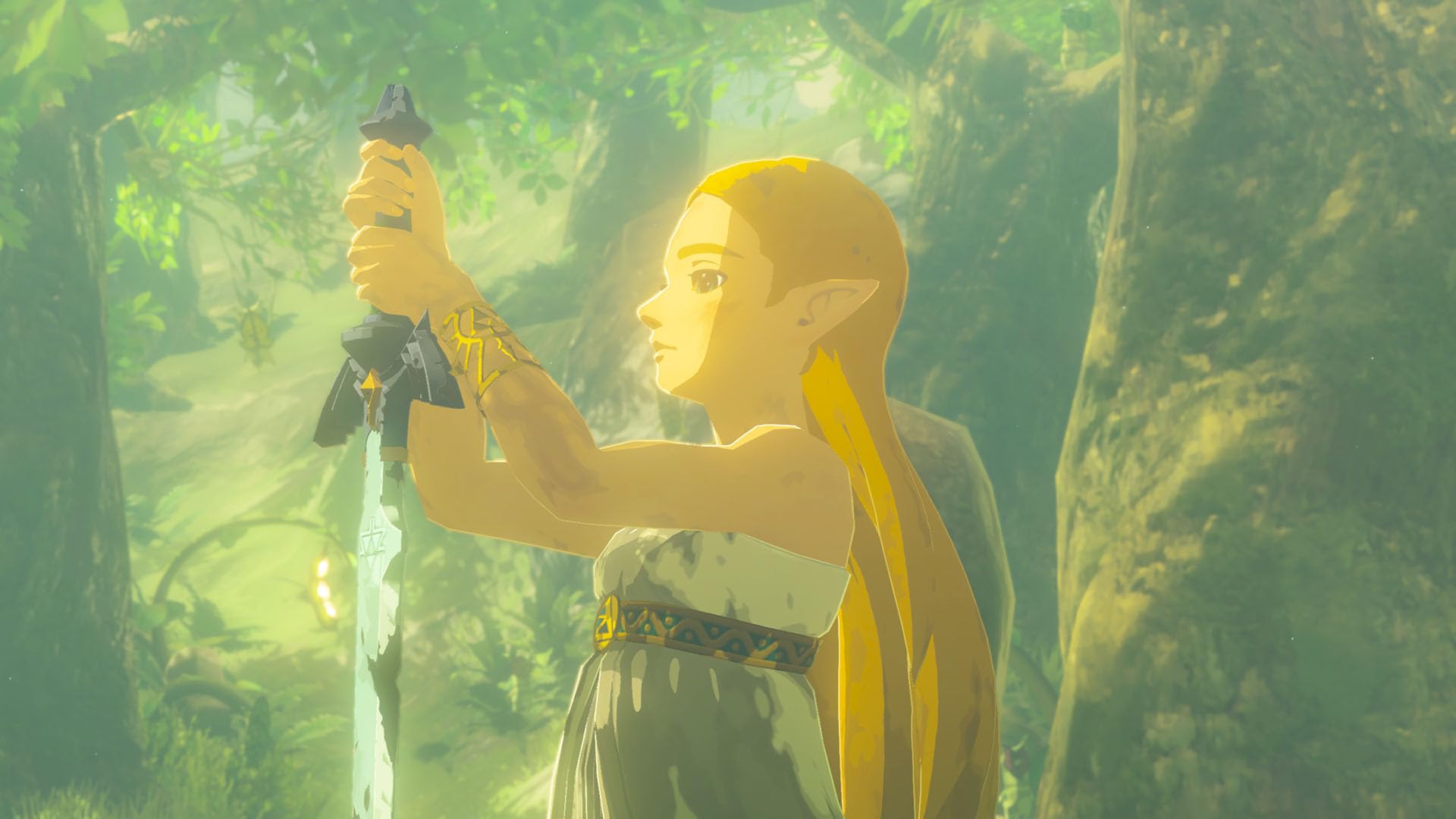 Zelda Breath of the Wild - Nintendo Switch 2 Edition