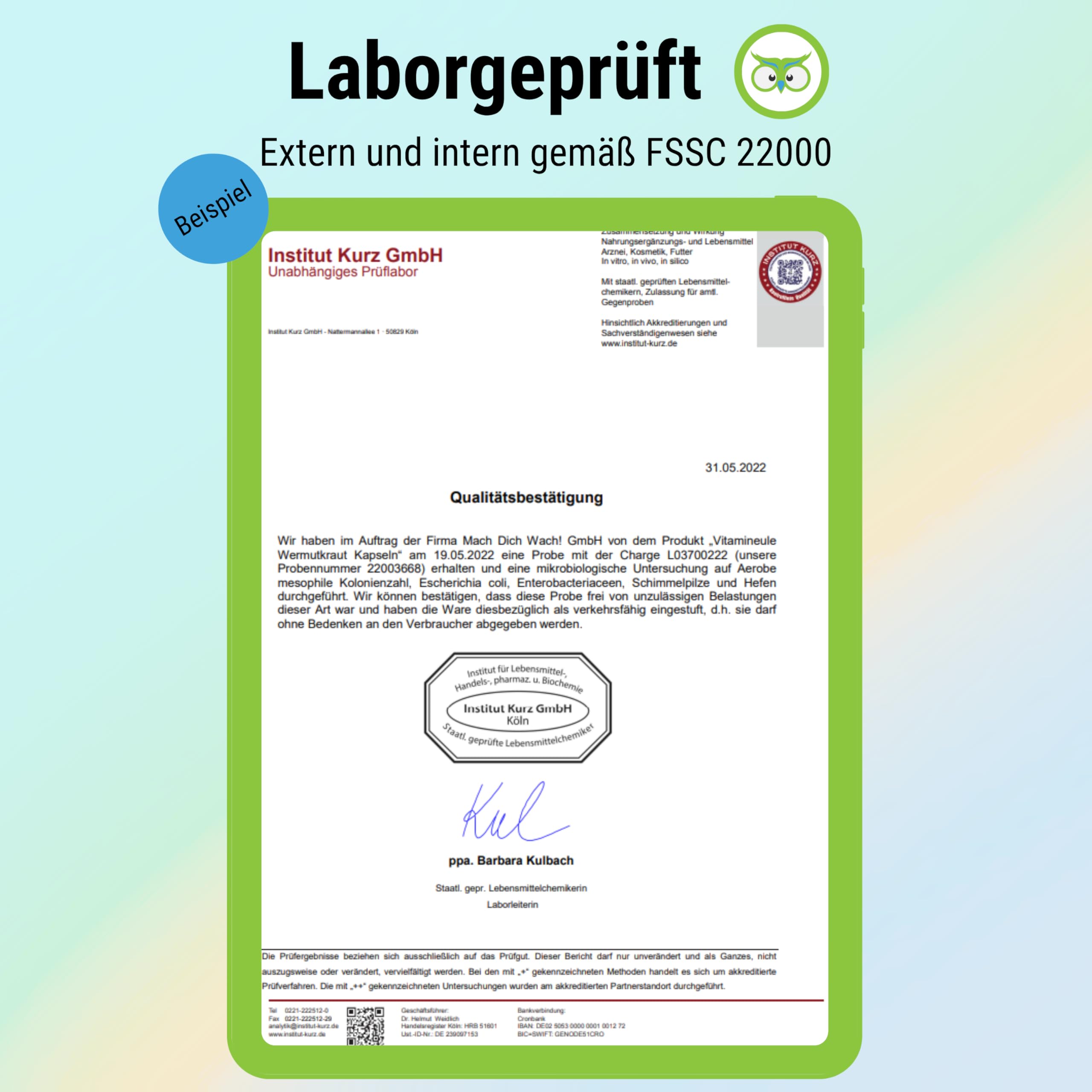Wermutkraut Kapseln - hochdosiert 1600 mg (400 mg 4:1 Extrakt) - bioaktiv & vegan - 90 Kapseln - Produktion in Deutschland - ohne Zusätze & laborgeprüft - Vitamineule®