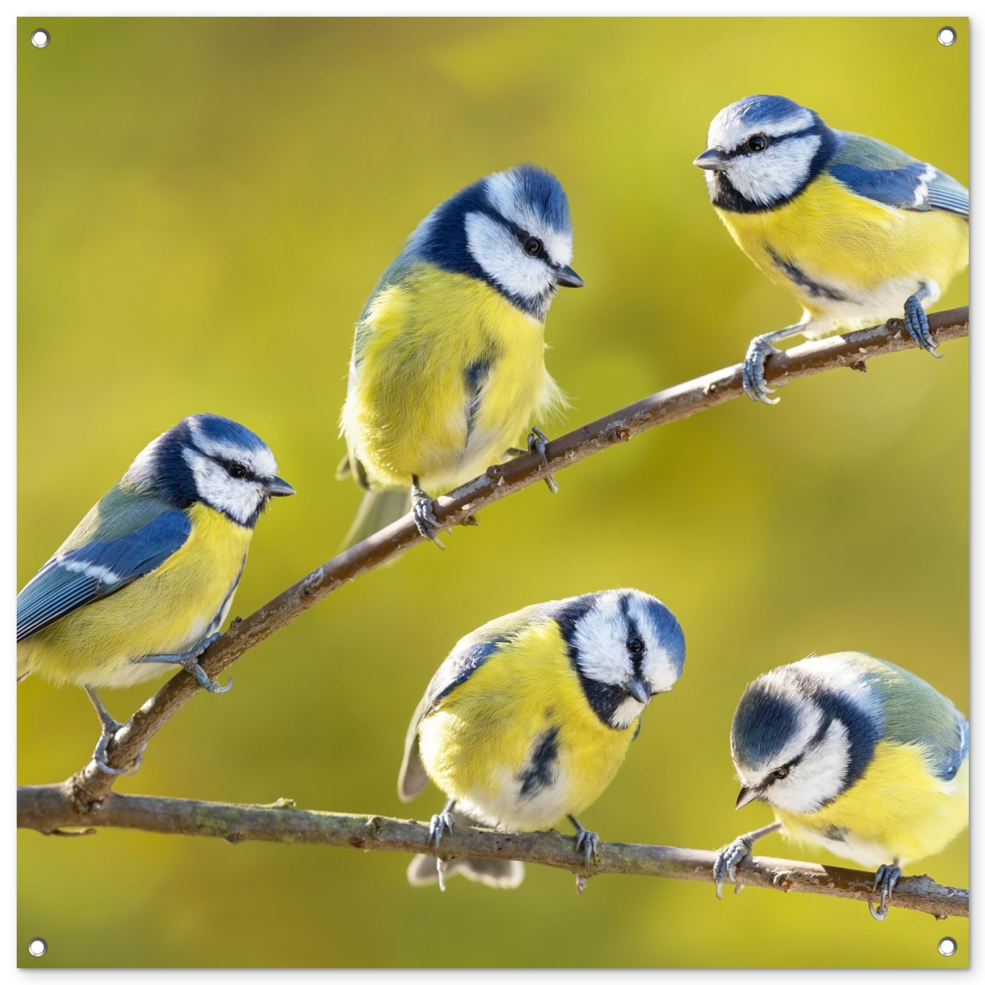 MuchoWow© Garden Poster Outdoor Wall Decor Art Posters Decorations — image 1