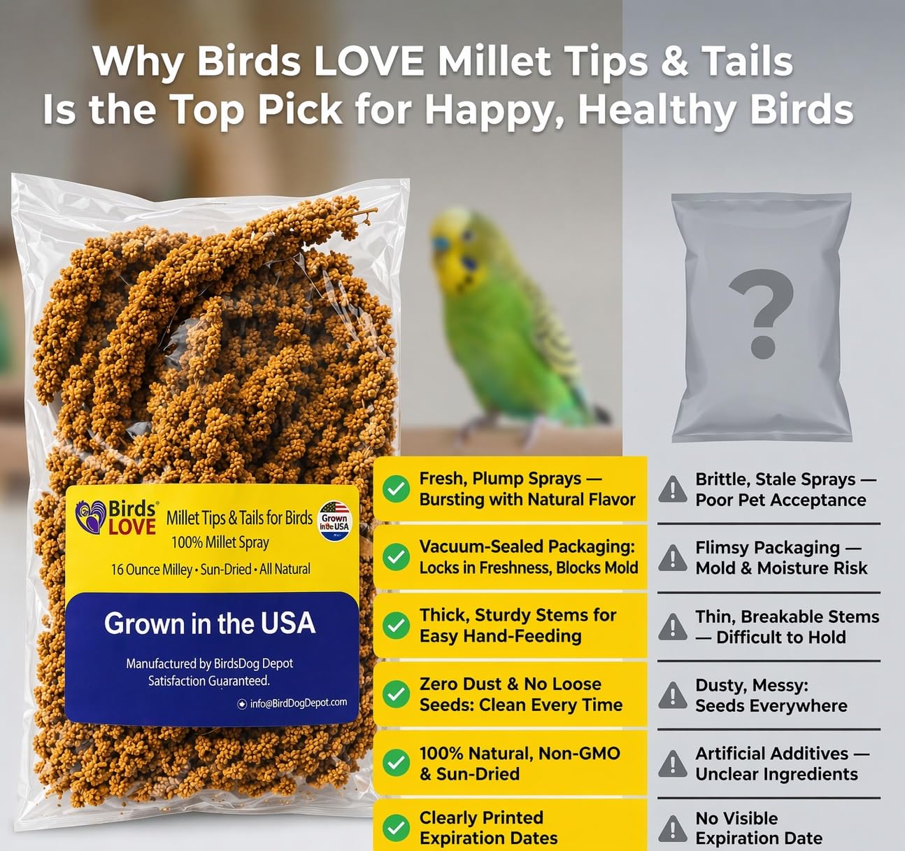 Birds LOVE Punte di miglio e code per pappagallini, parrocchiani, pappagalli, fringuelli, pappagallini, canarini, parrocchiani