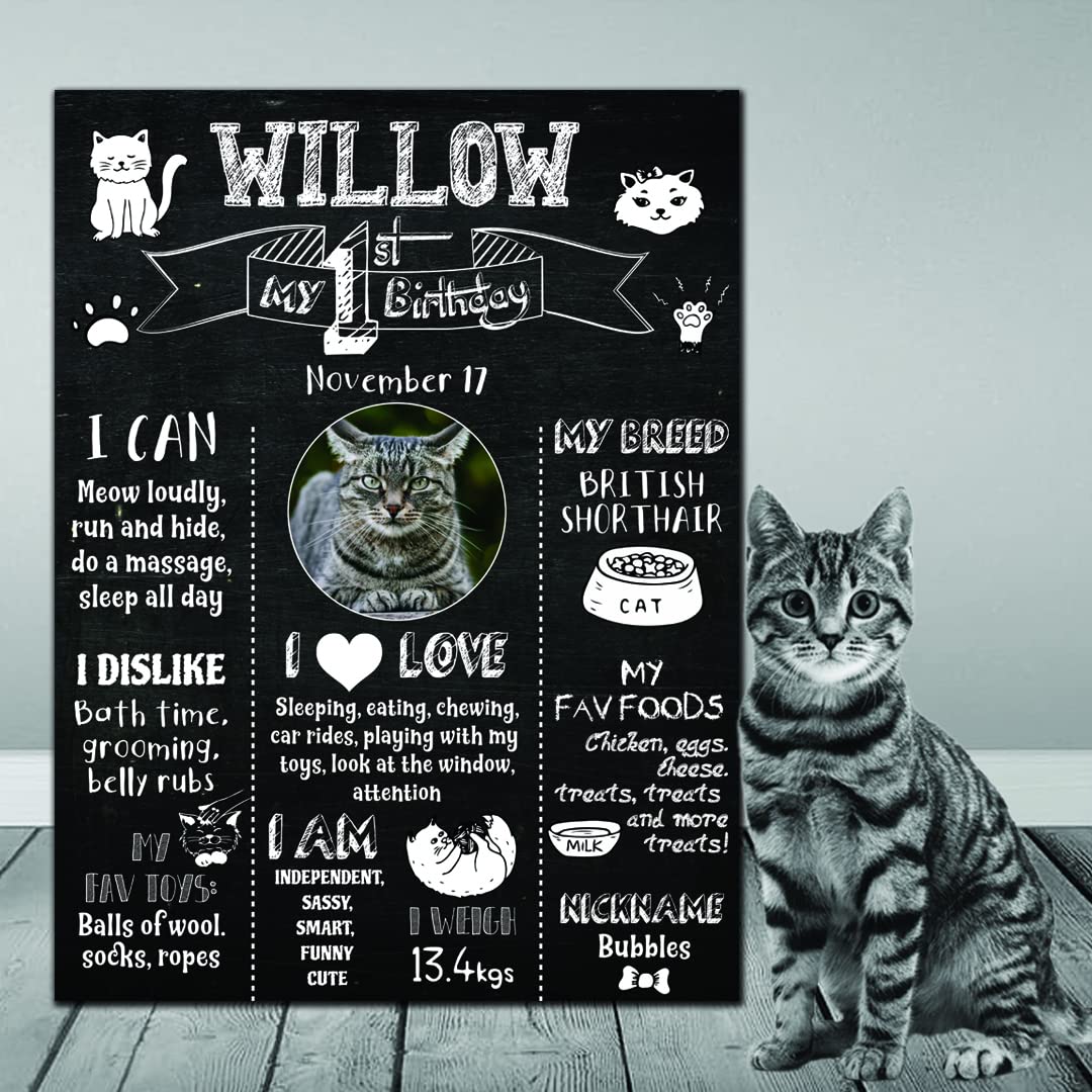 Glitz Party Factory Cat Birthday Chalk Board Party Supplies Decoration Presents Gift for Dog Cat, Pet Milestone Sign Board for Birthday Cat, Cat First Birthday Outfits Girl Boy Made of MDF Board