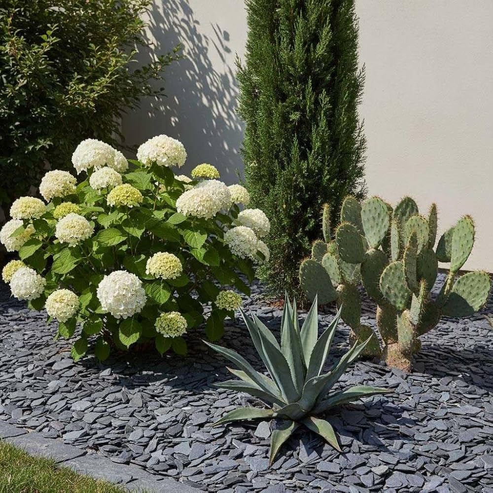 Paillis Ardoise Bleu Ambré 10/40 20kg Anti Mauvaises Herbes Rétention Chaleur Intérieur Extérieur